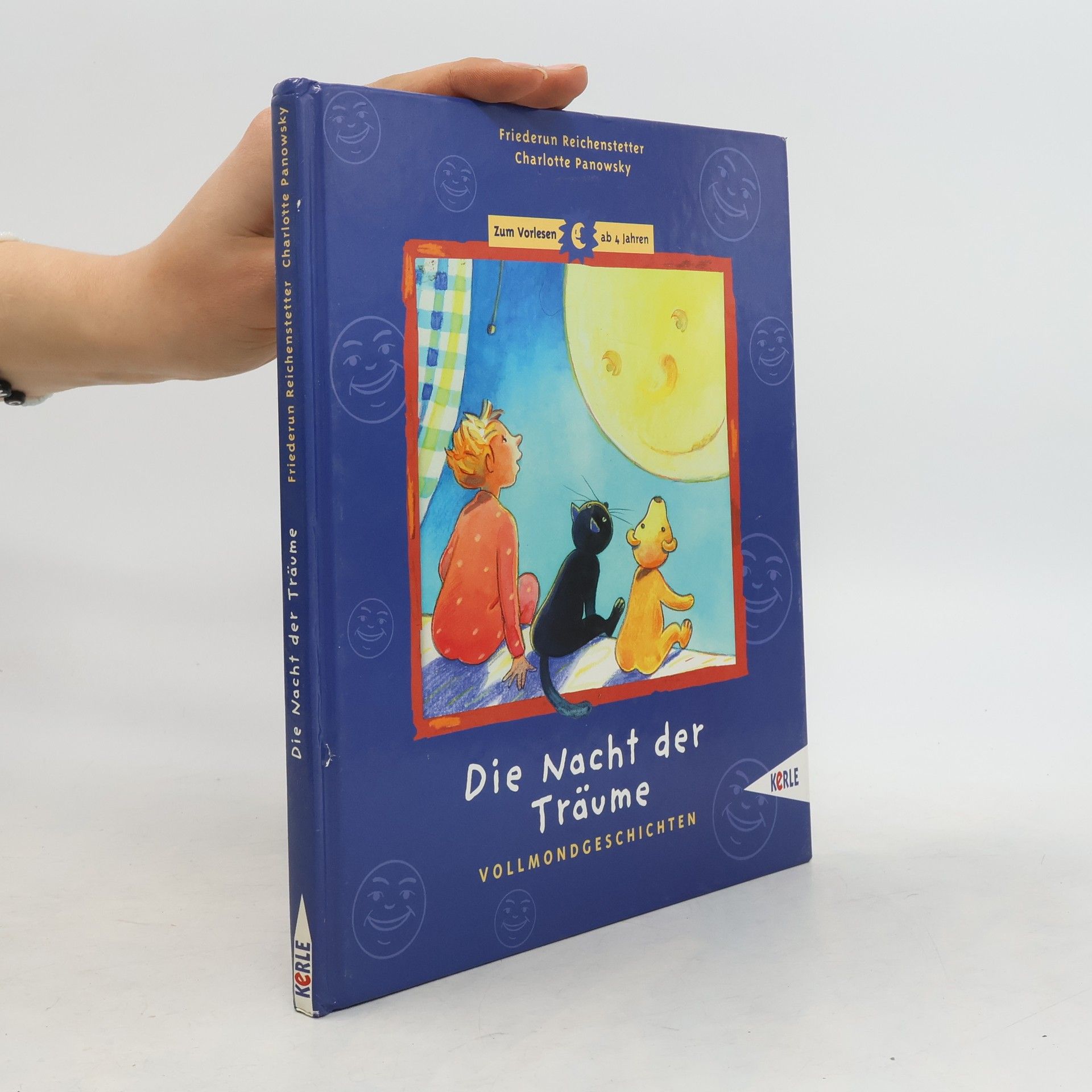Friederun Reichenstetter Die Nacht der Träume