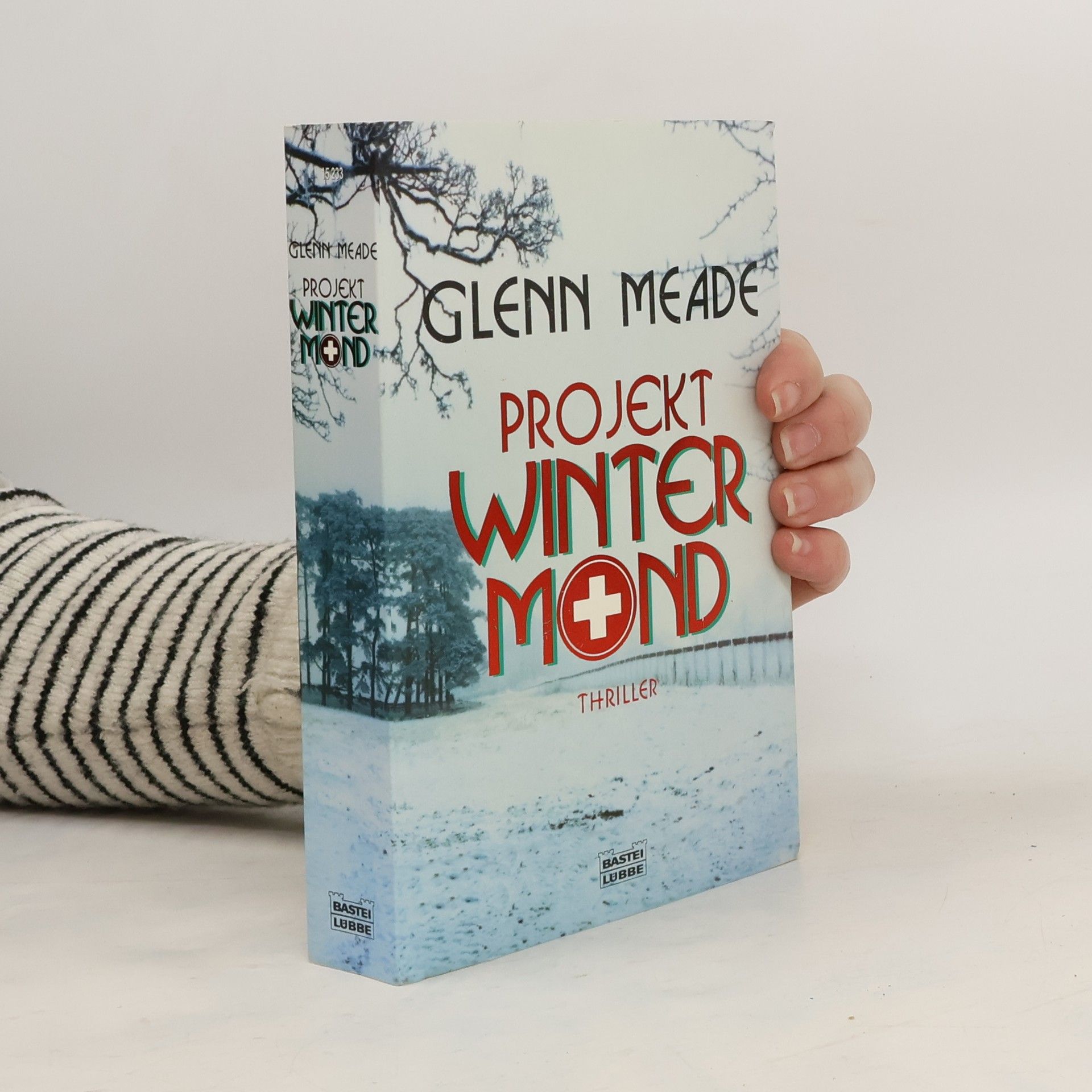 Glenn Meade Projekt winter mind