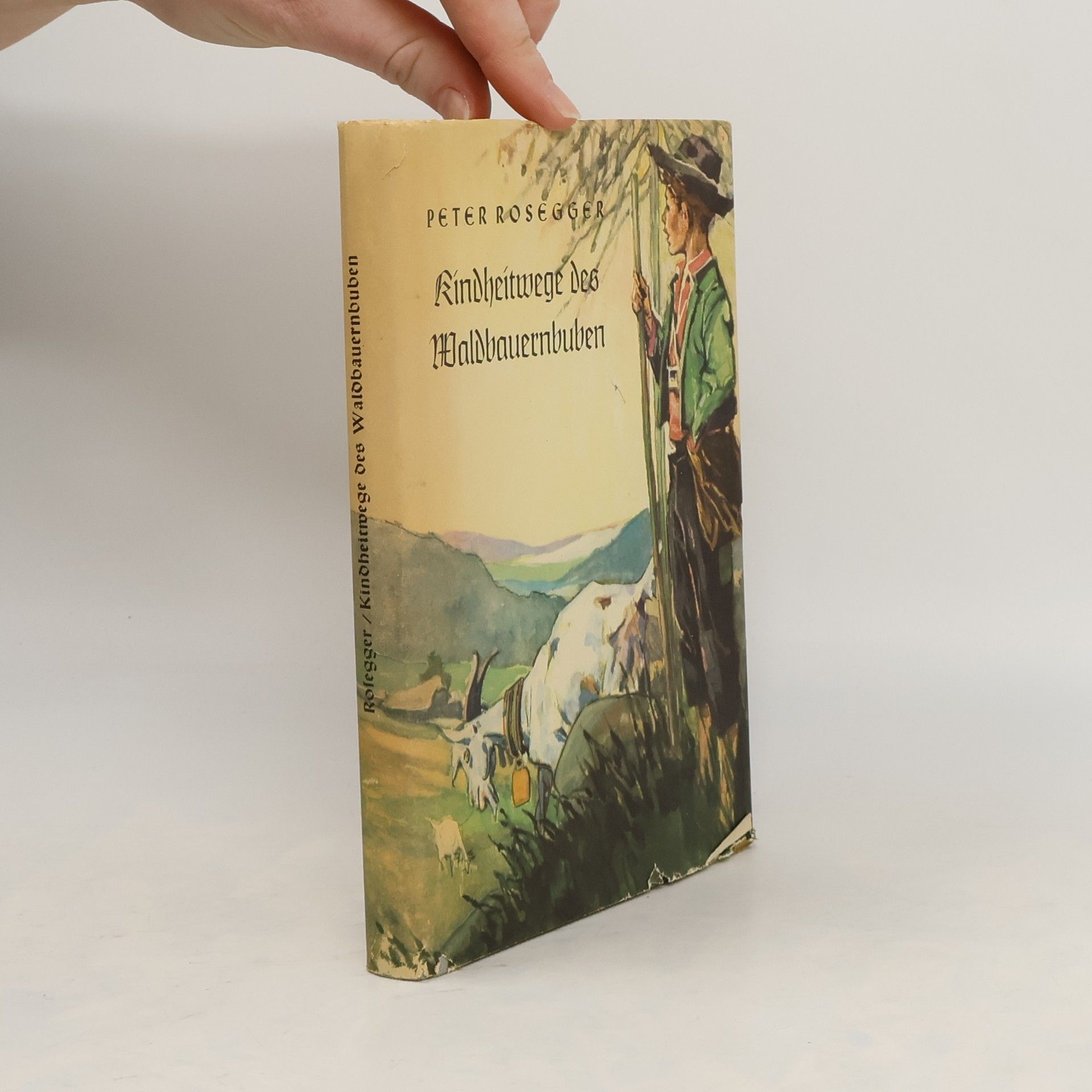 Peter Rosegger Kindheitwege des Waldbauernbuben