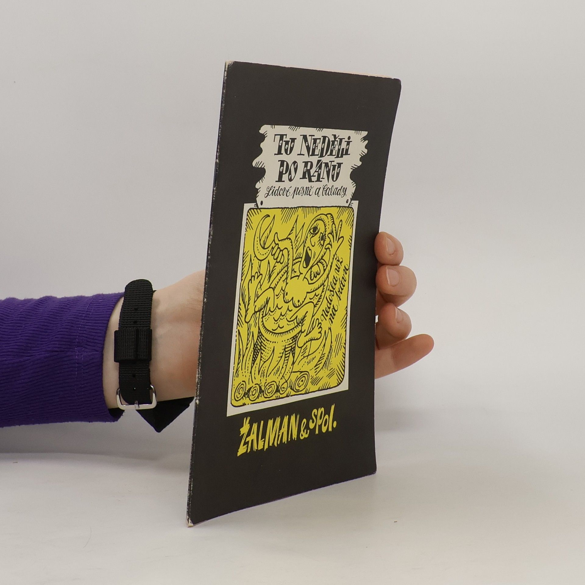 Kolektív autorov Tu neděli po ránu lidové písně a balady