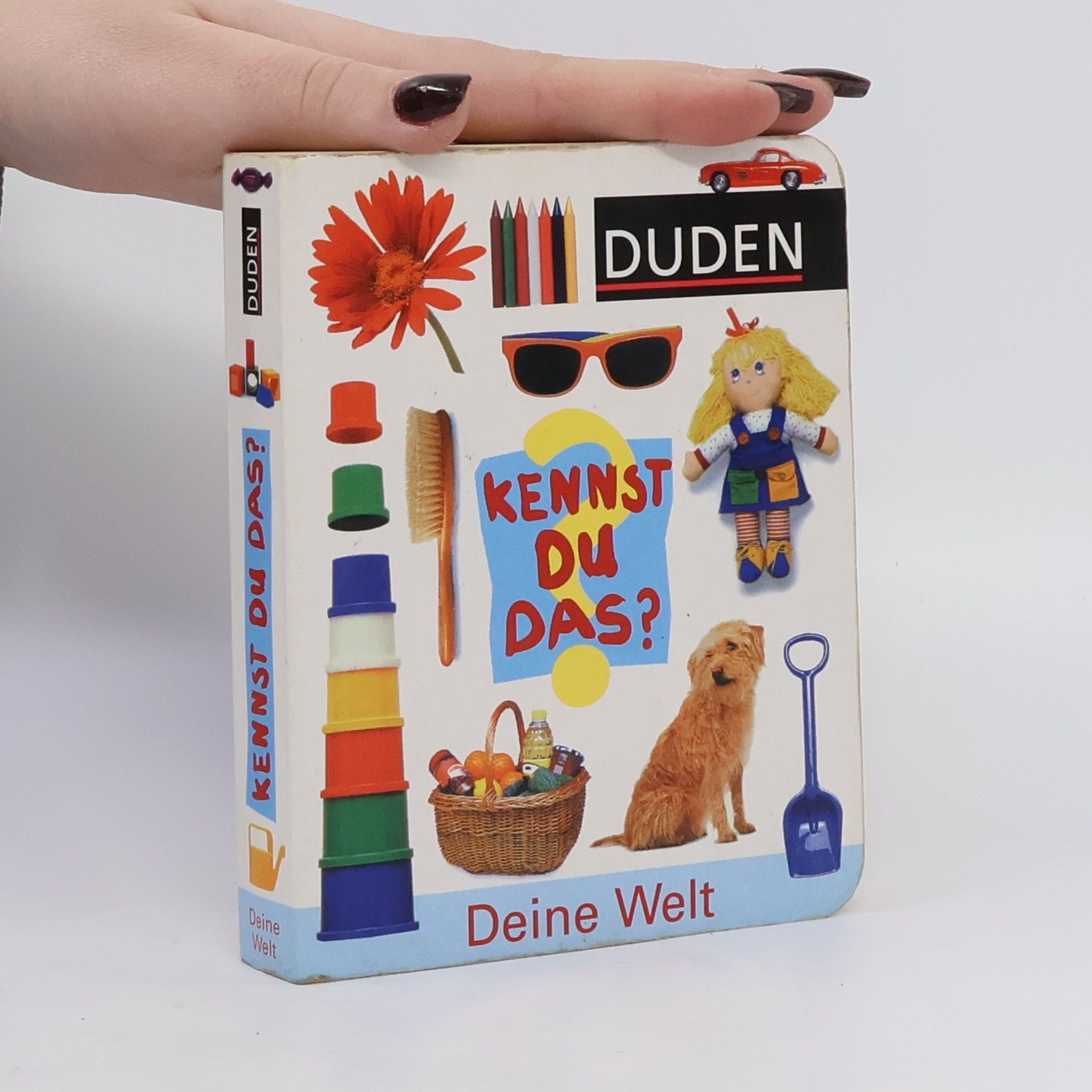kolektiv Deine Welt