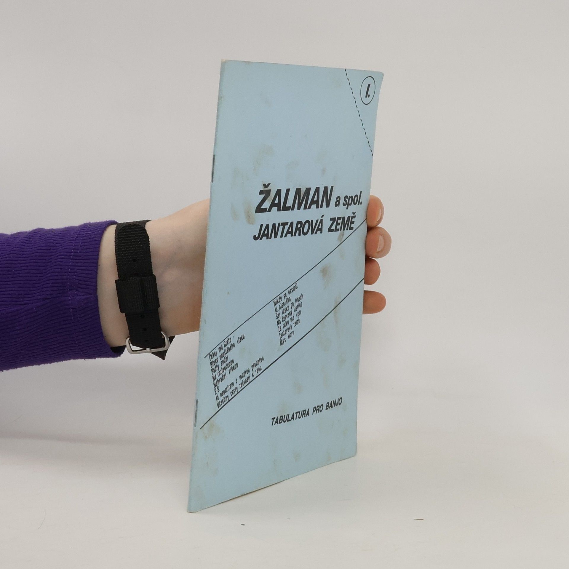 Kolektív autorov Jantarová země