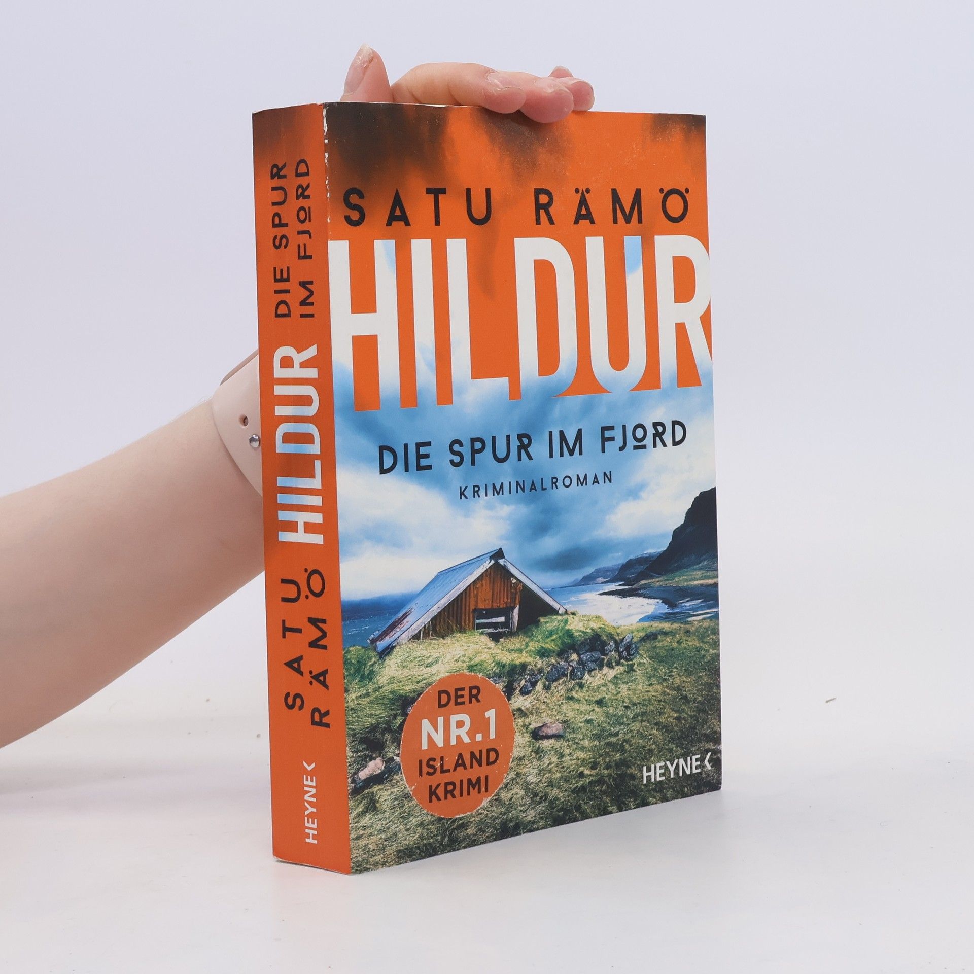 Satu Rämö Hildur. Die Spur im Fjord