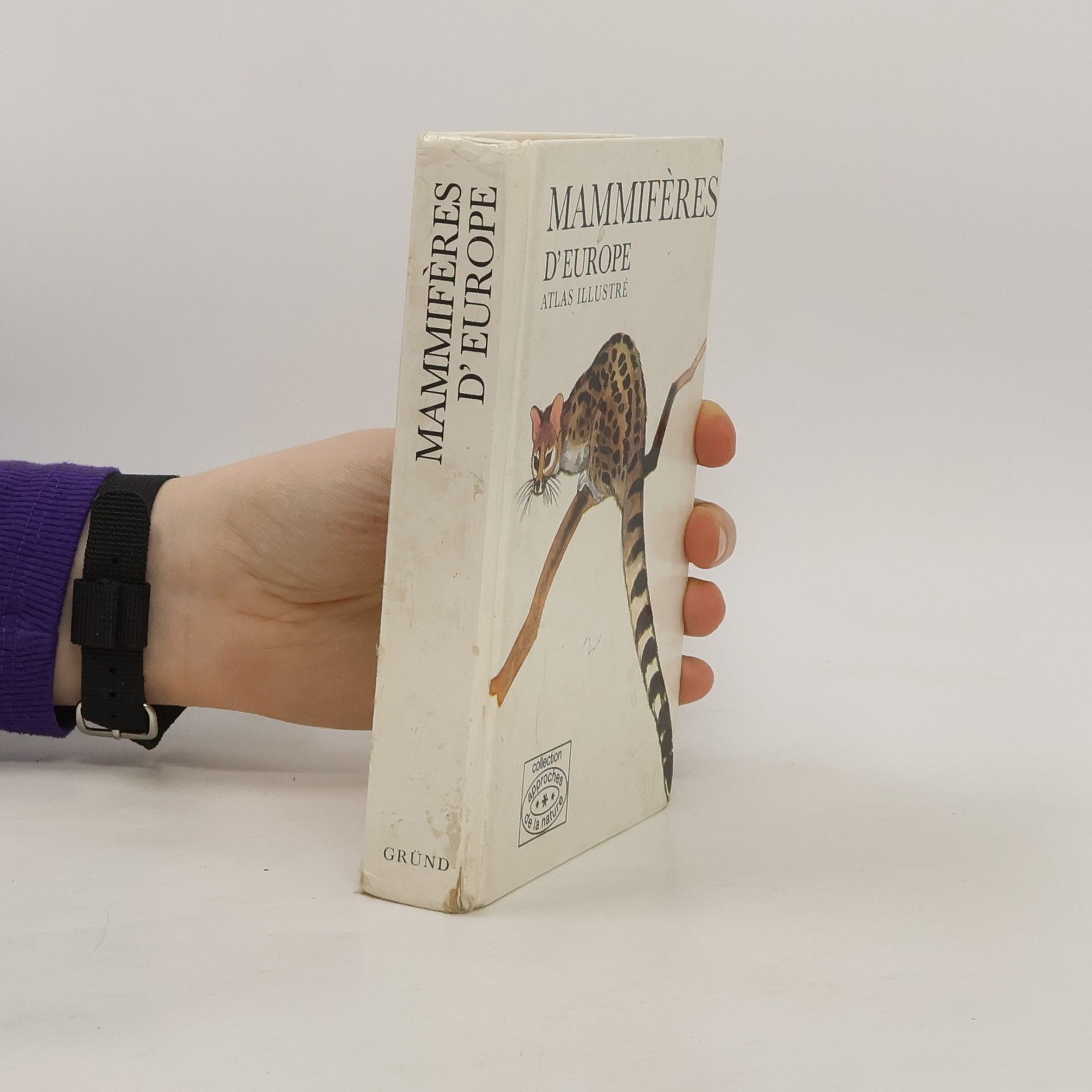 Auteurscollectief Mammifères d'Europe