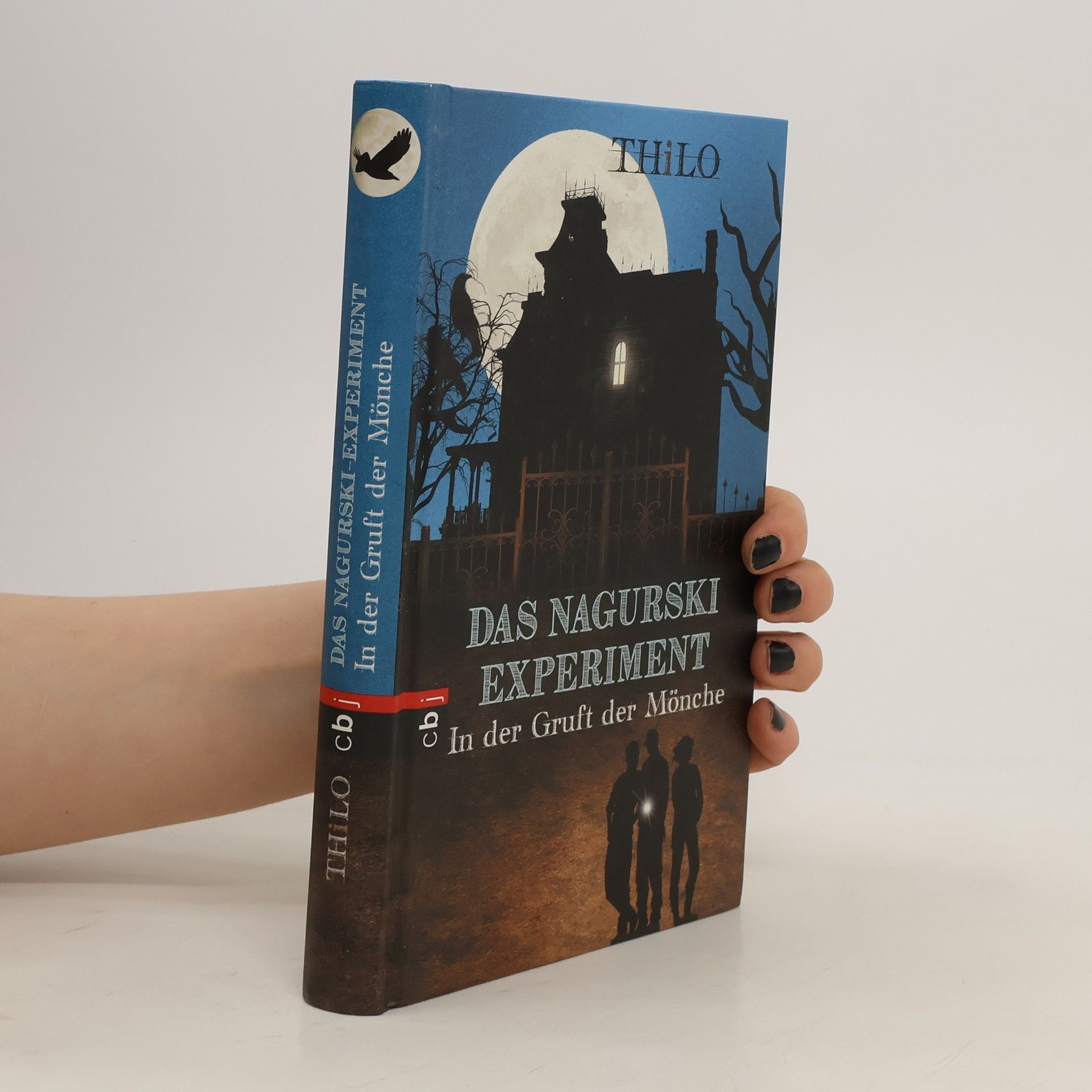 Thilo Petry-Lassak Das Nagurski-Experiment - in der Gruft der Mönche