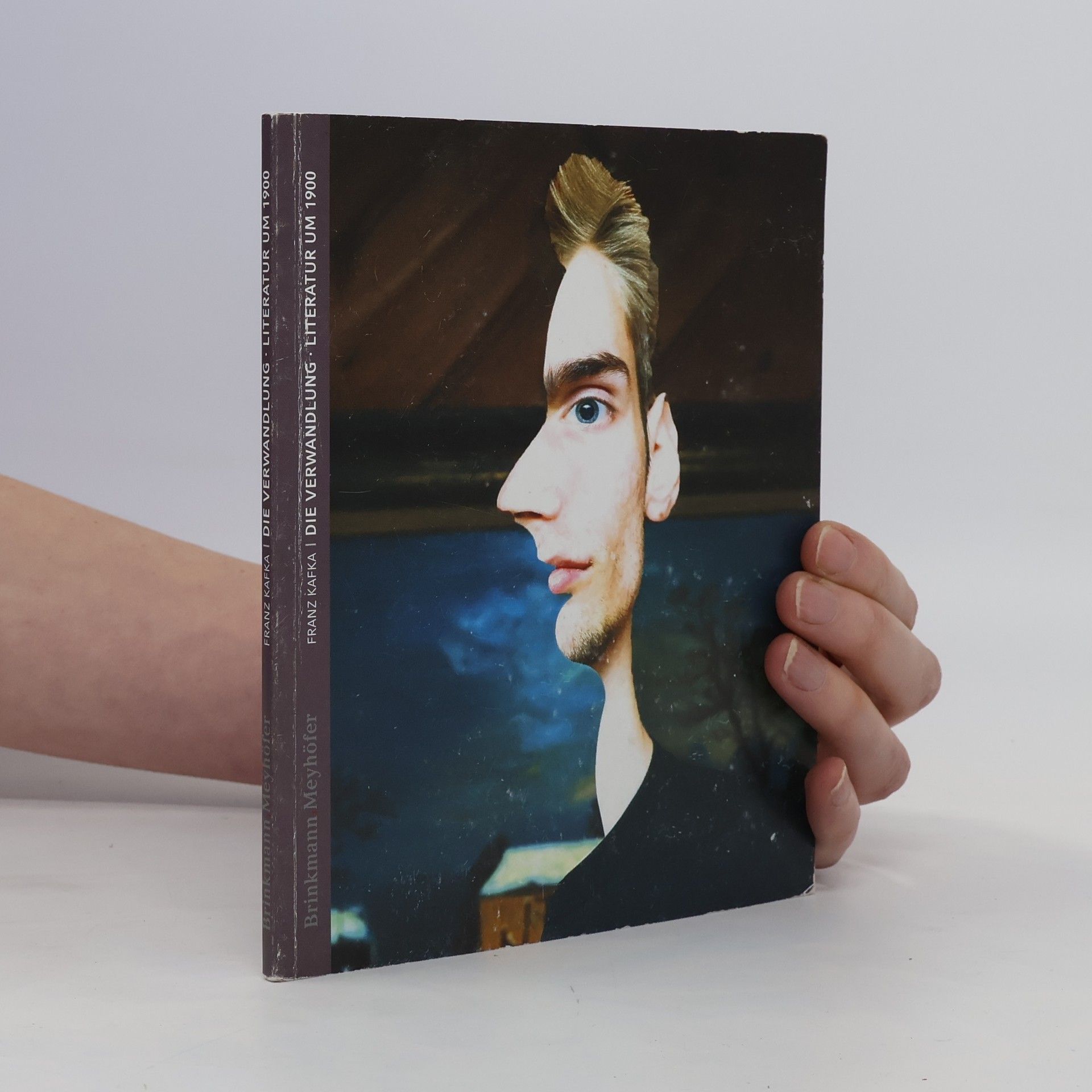 Franz Kafka Die Verwandlung Literatur um 1900
