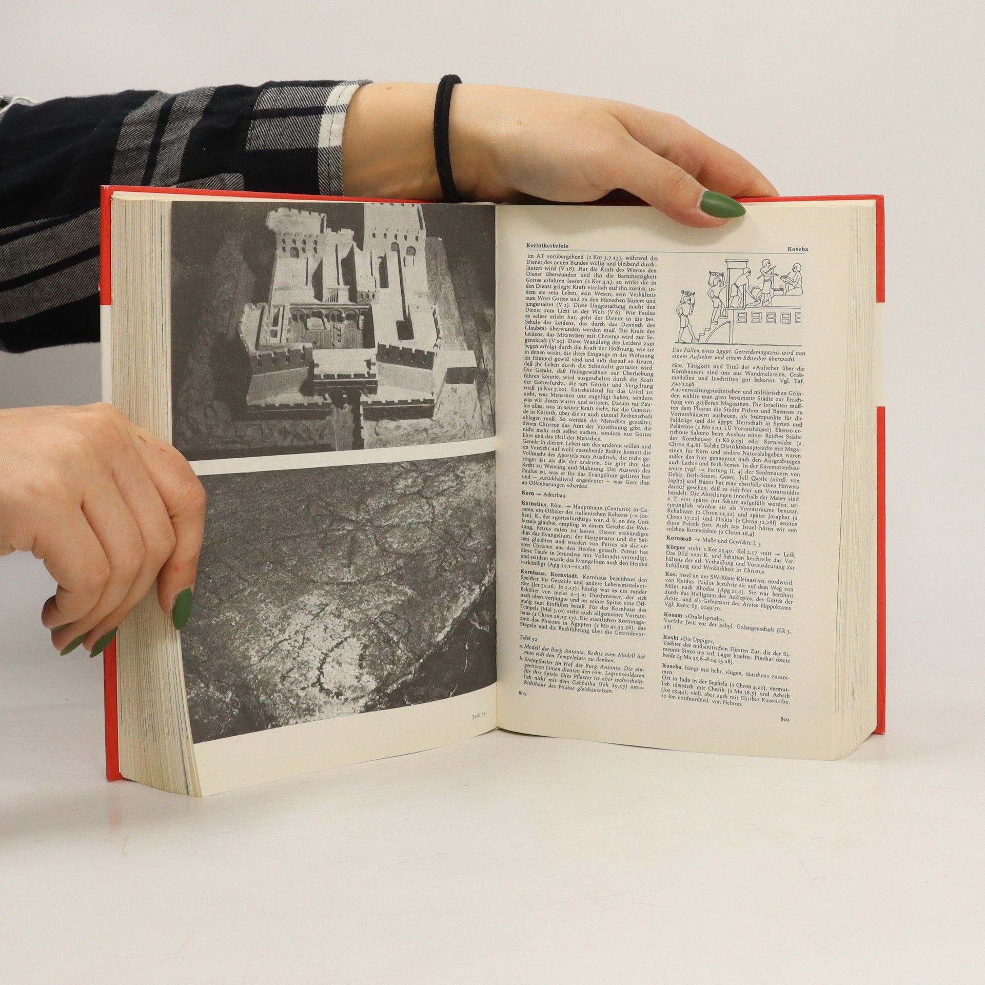 Fritz Rienecker Lexikon zur Bibel