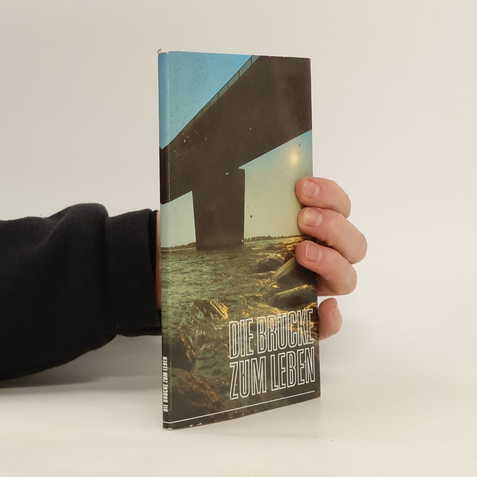 Autorenkollektiv Die Brücke zum leben