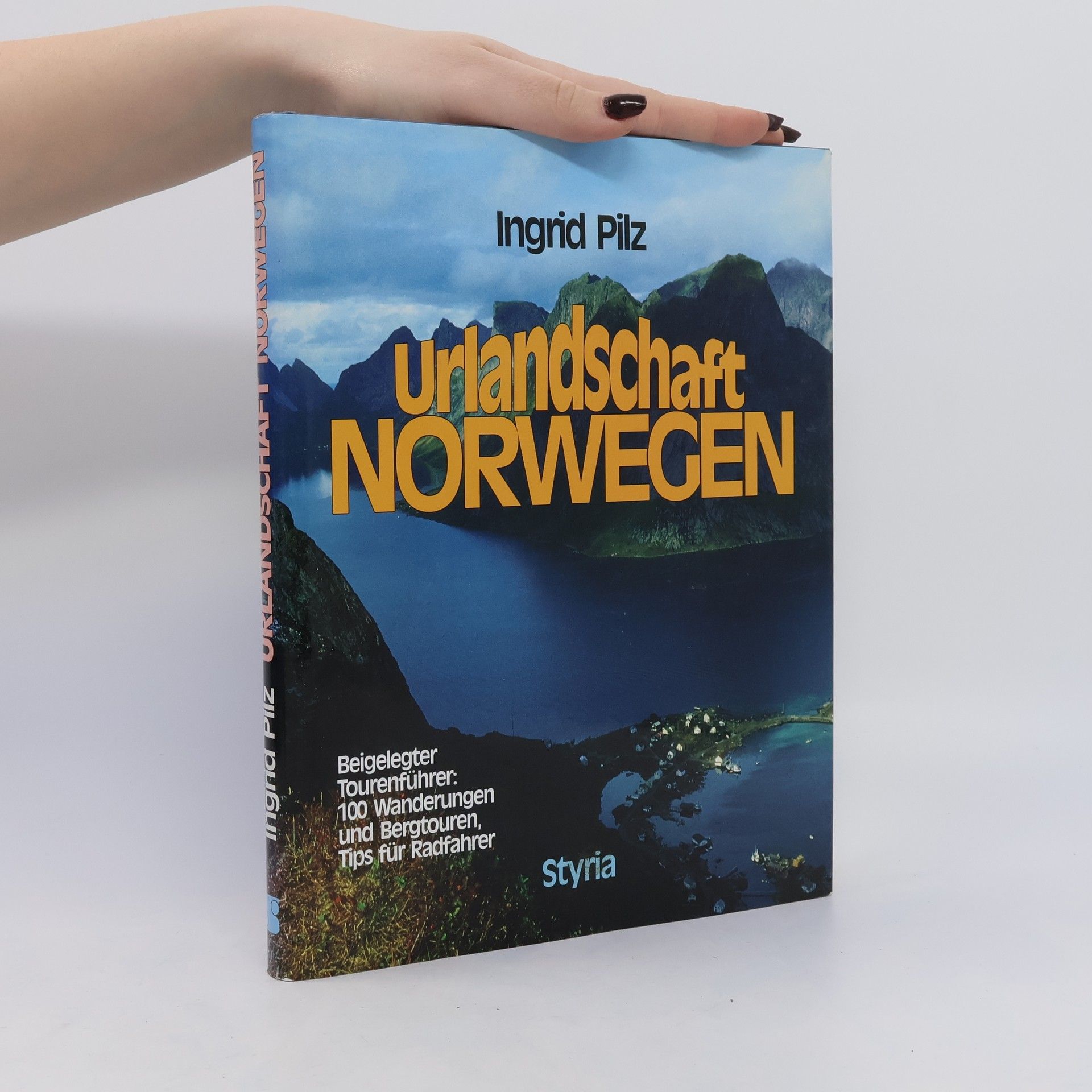Ingrid Pilz Urlandschaft Norwegen