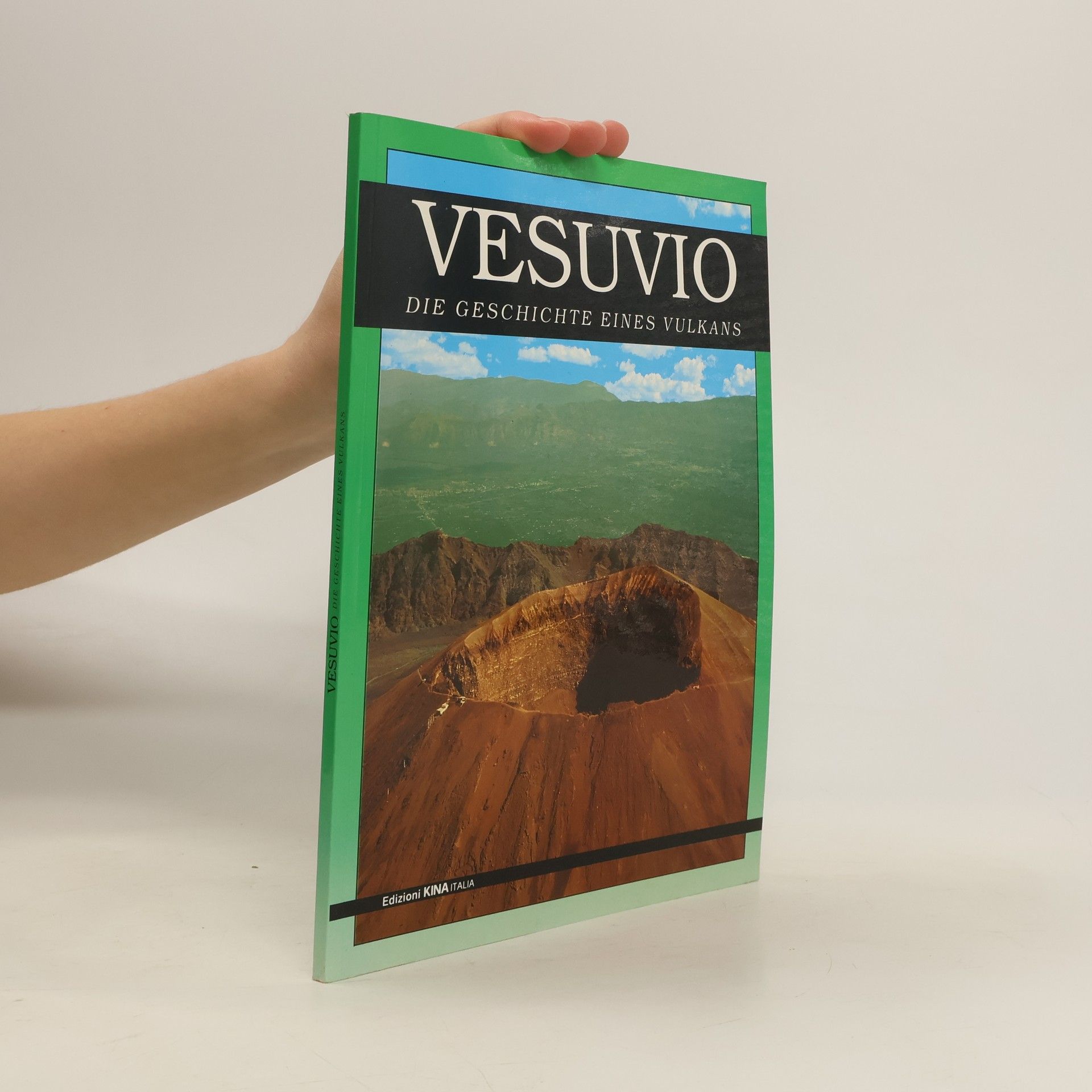 kolektiv Vesuvio. Die Geschichte eines Vulkans
