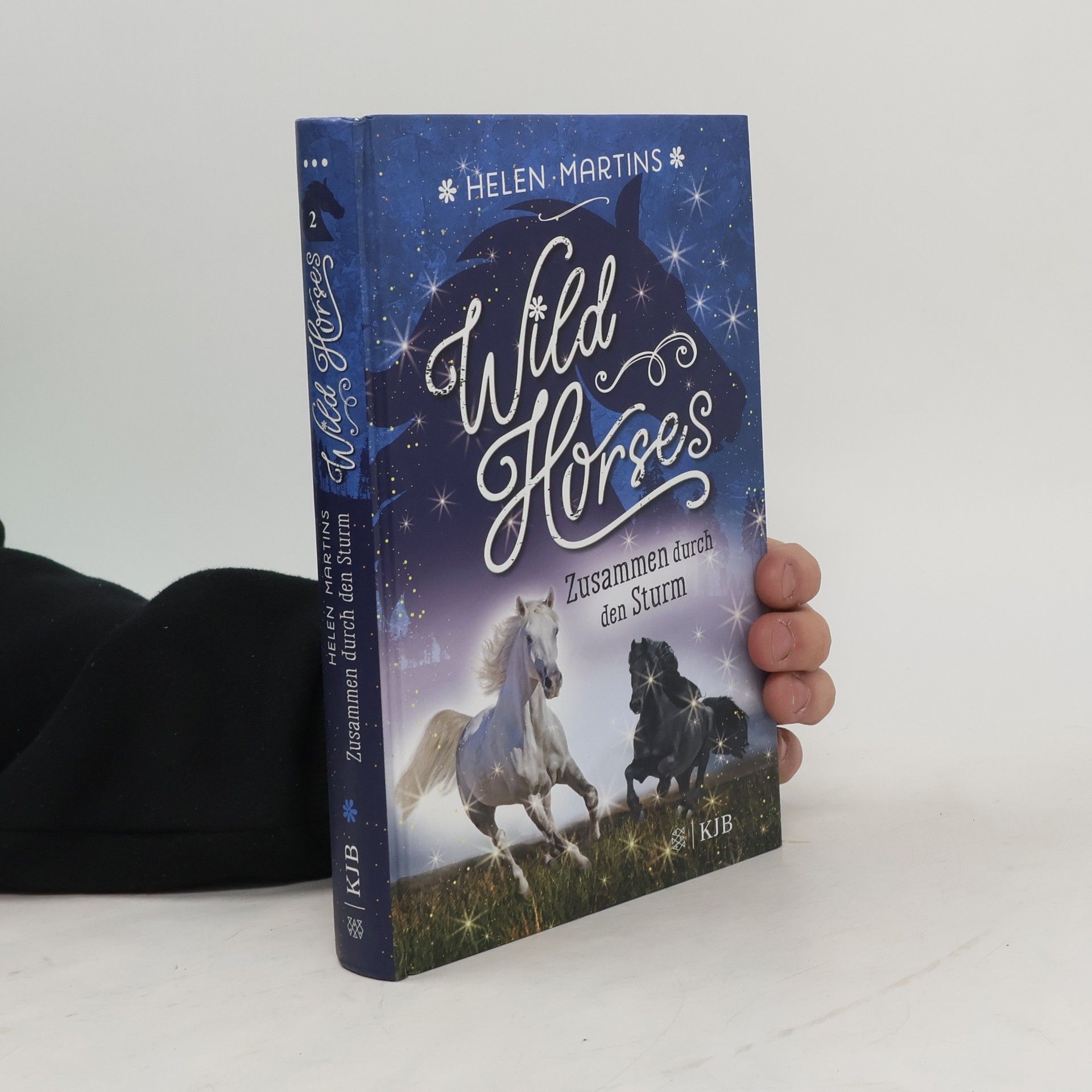 Helen Martins Wild Horses - Zusammen durch den Sturm
