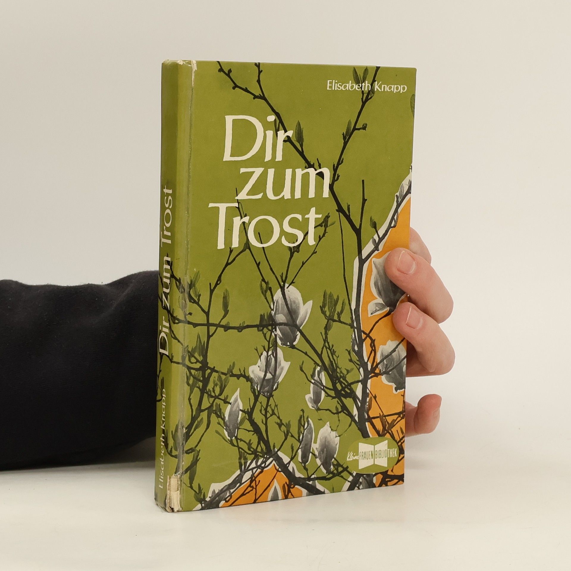Dir zum Trost