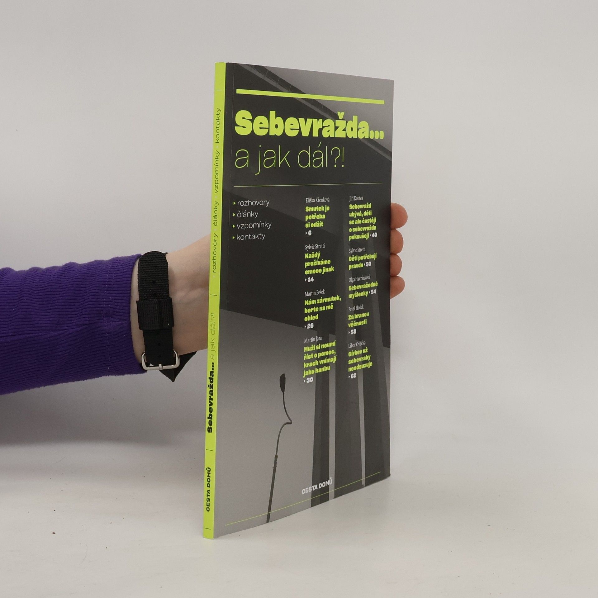 Alena Scheinostová Sebevražda... a jak dál?!
