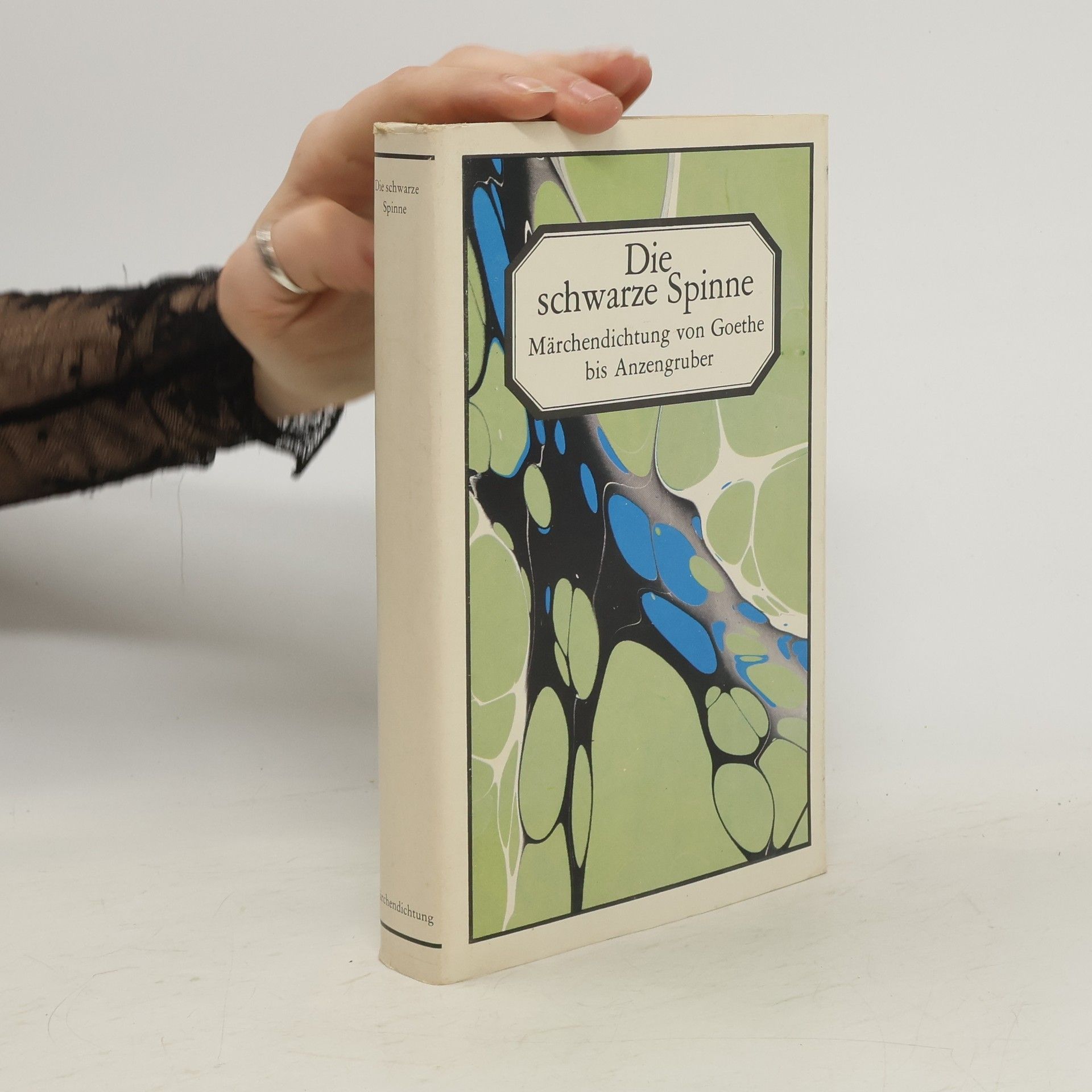 Collectif d'auteurs Die schwarze Spinne