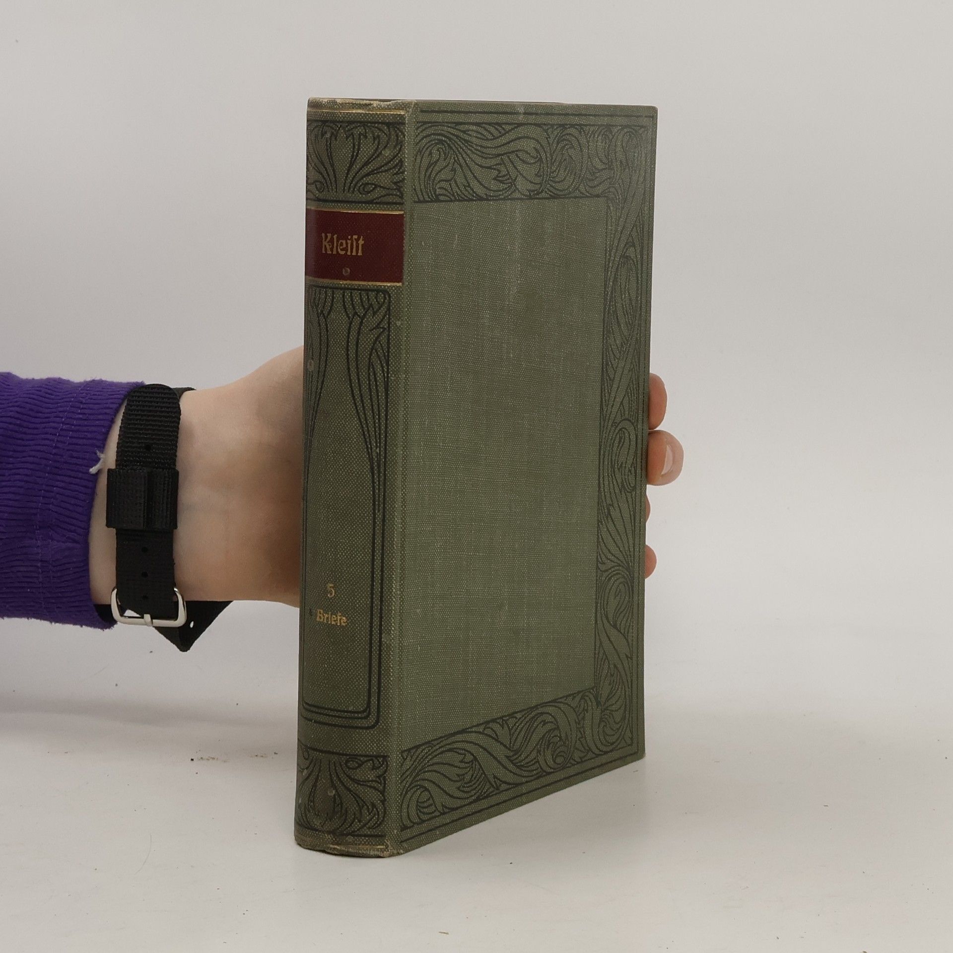 Heinrich von Kleist Heinrich von Kleist Werke. Briefe 5