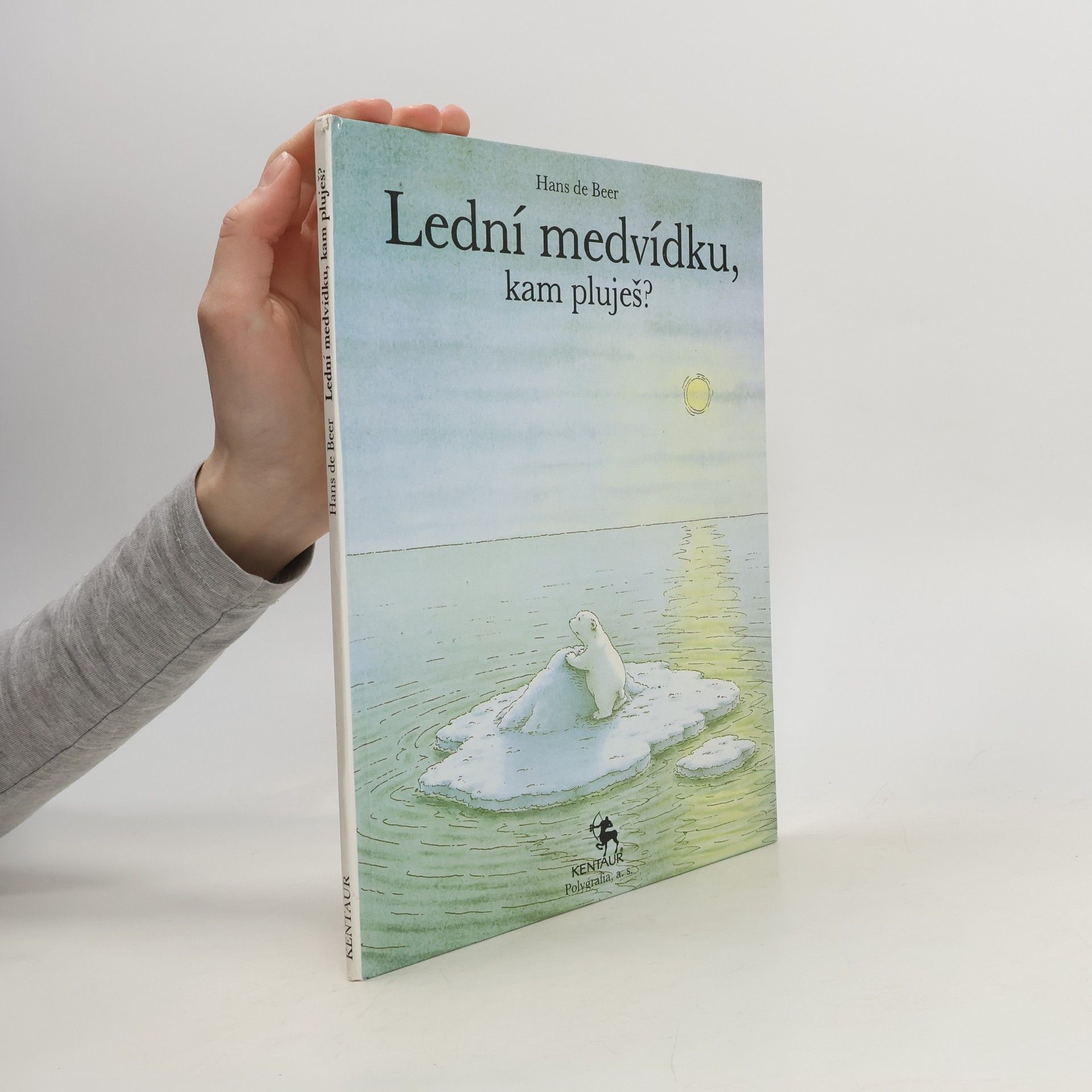 Hans de Beer Lední medvídku, kam pluješ?
