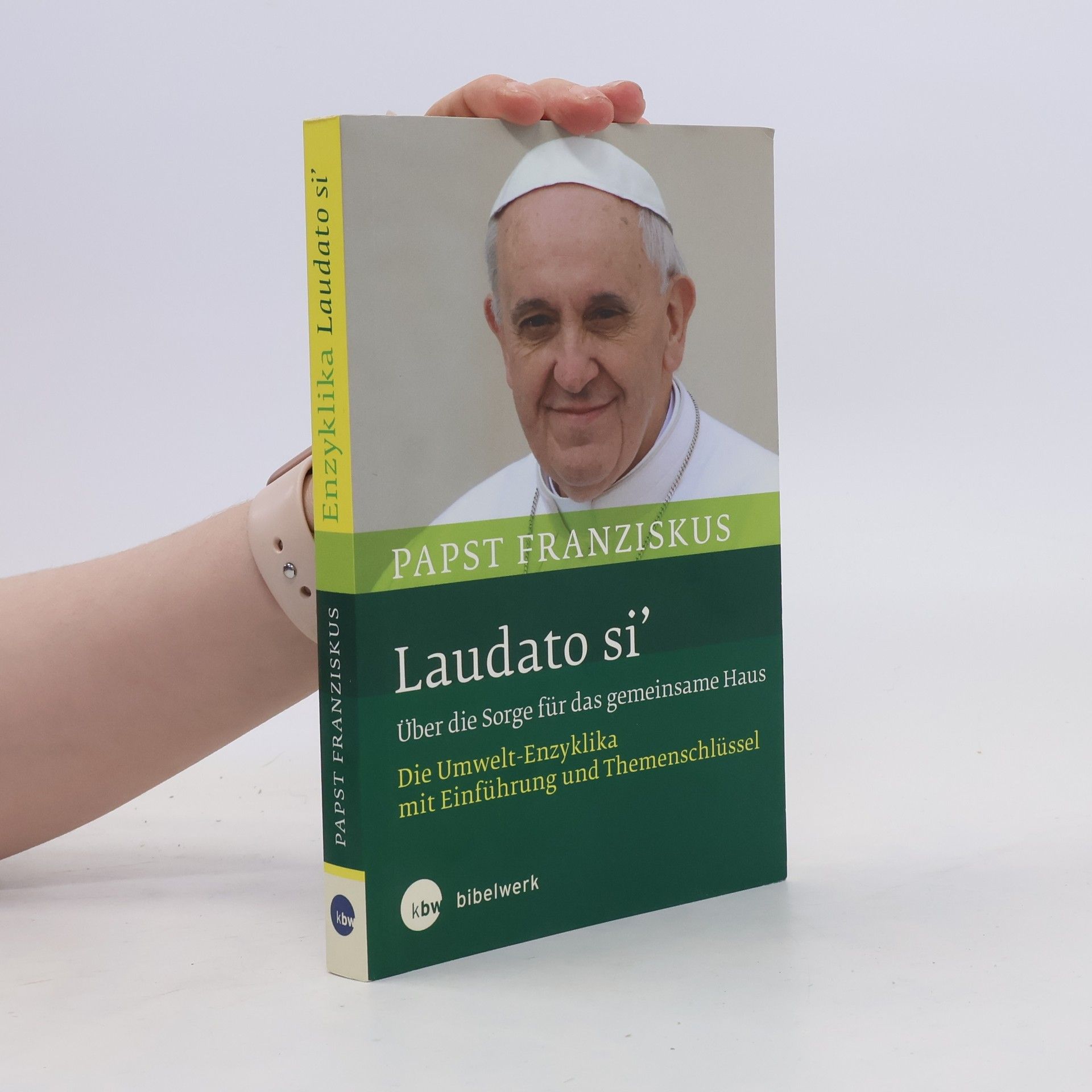 Papst Franziskus Enzyklika. Laudato si'