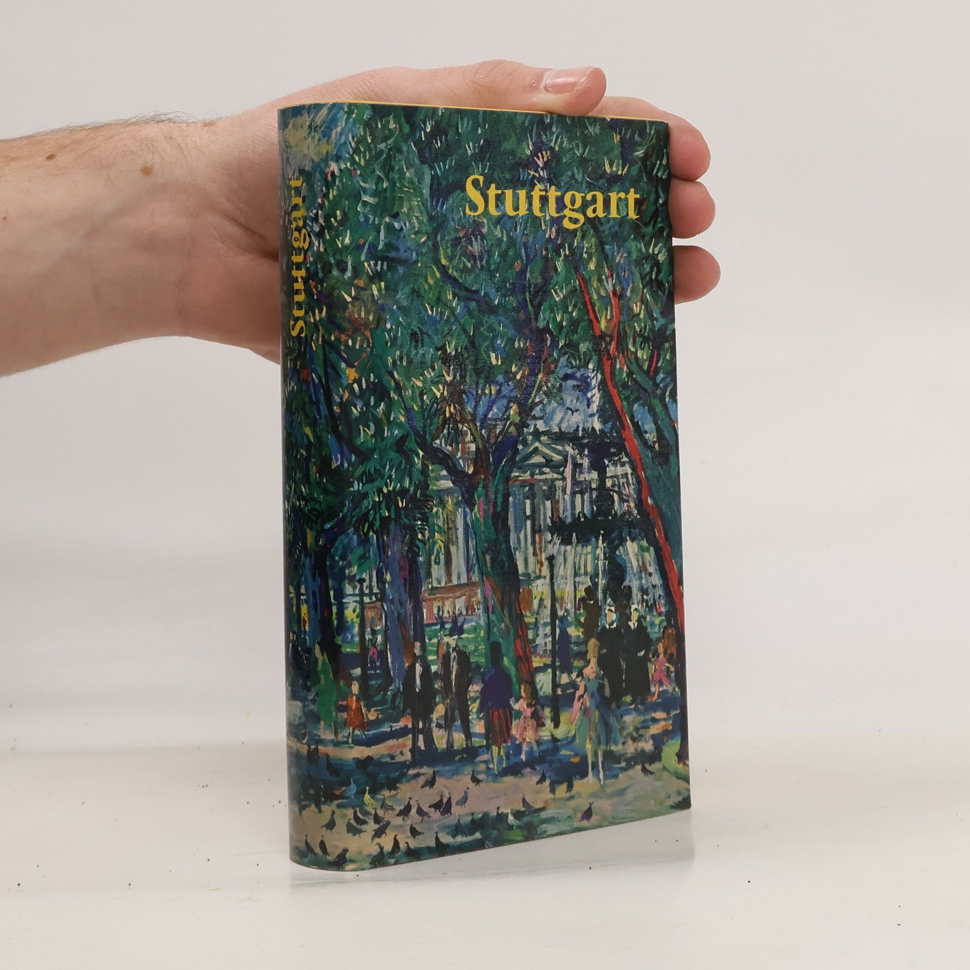 Kolektív autorov Stuttgart