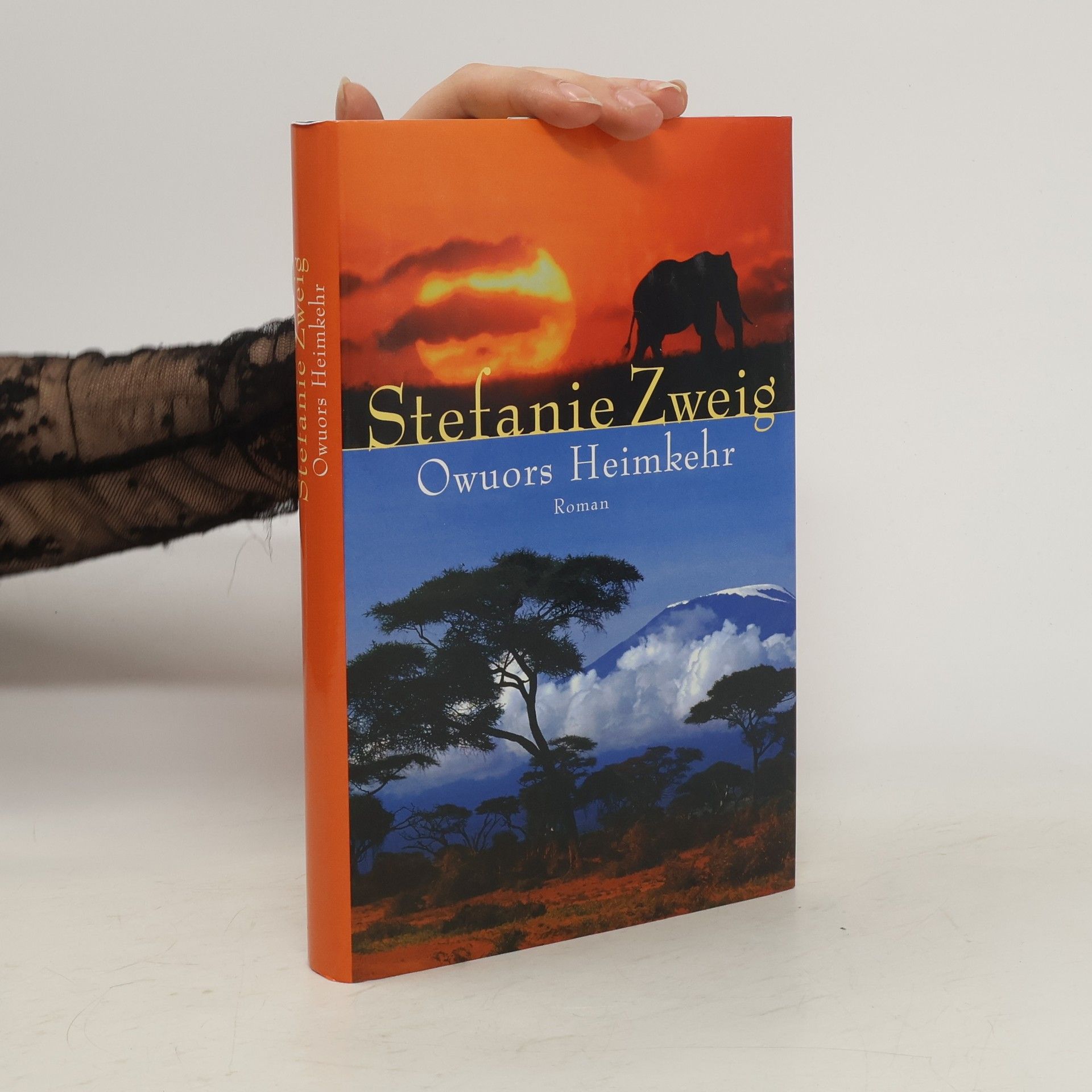 Stefanie Zweig Owuors Heimkehr