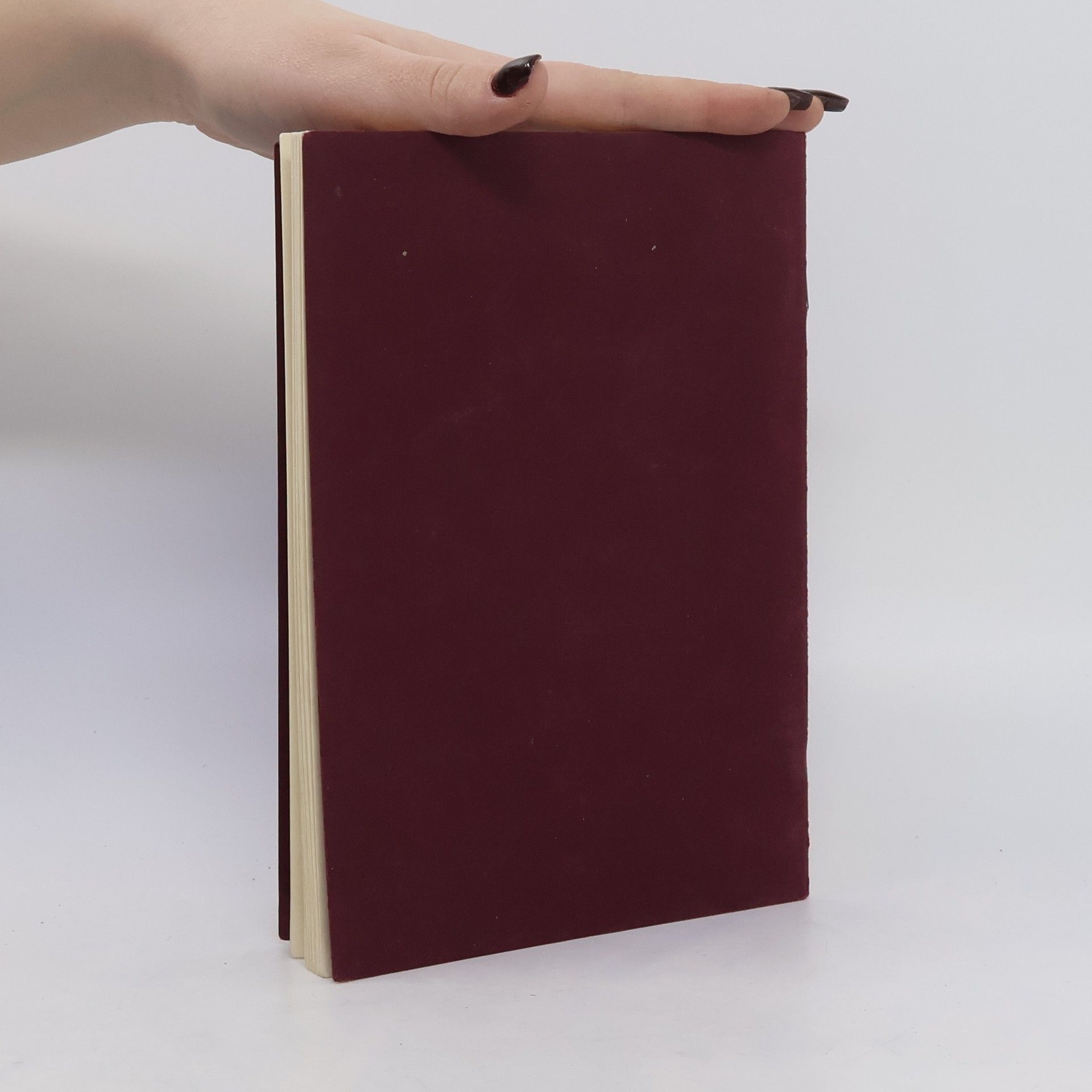 Autorenkollektiv Sutrabuch