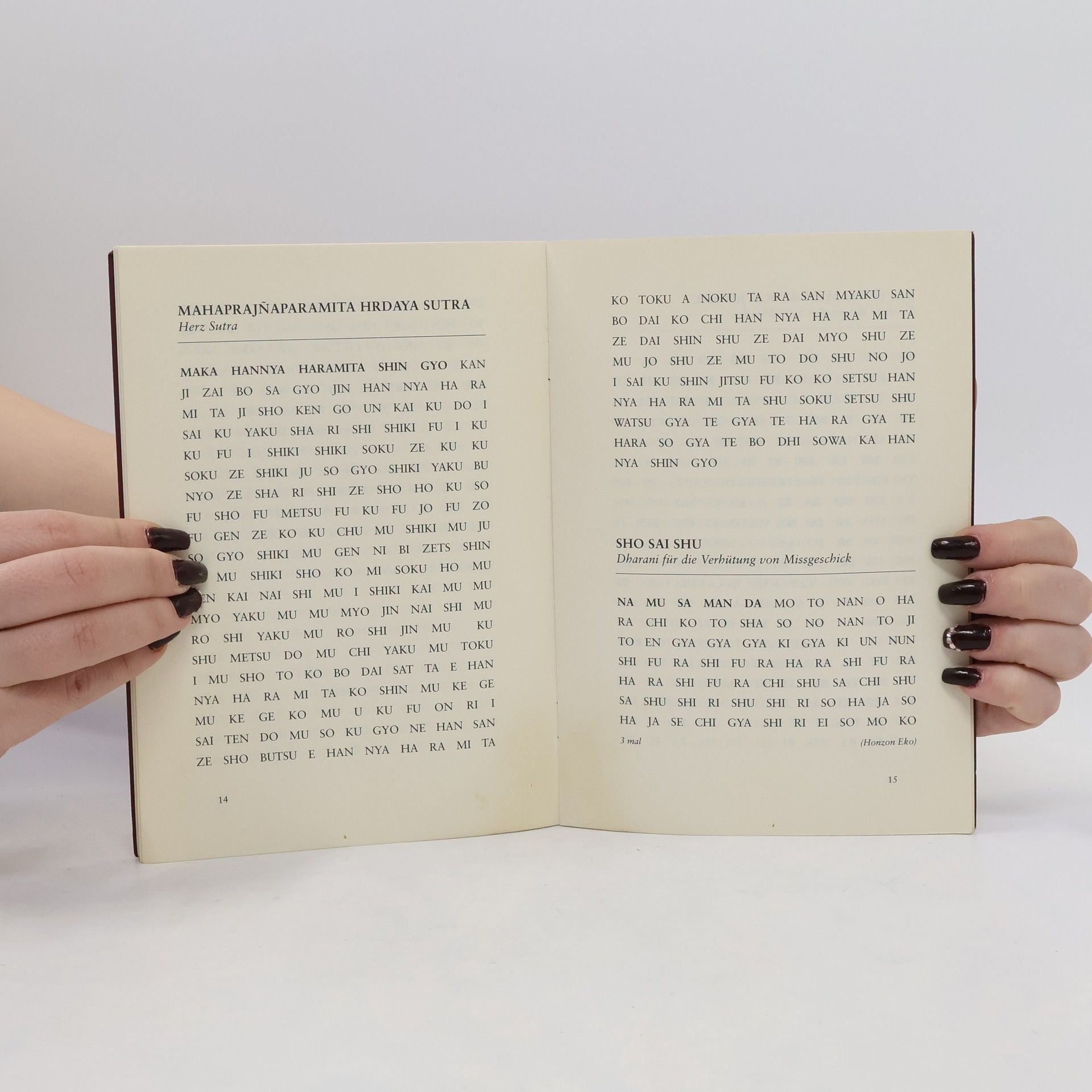 Autorenkollektiv Sutrabuch