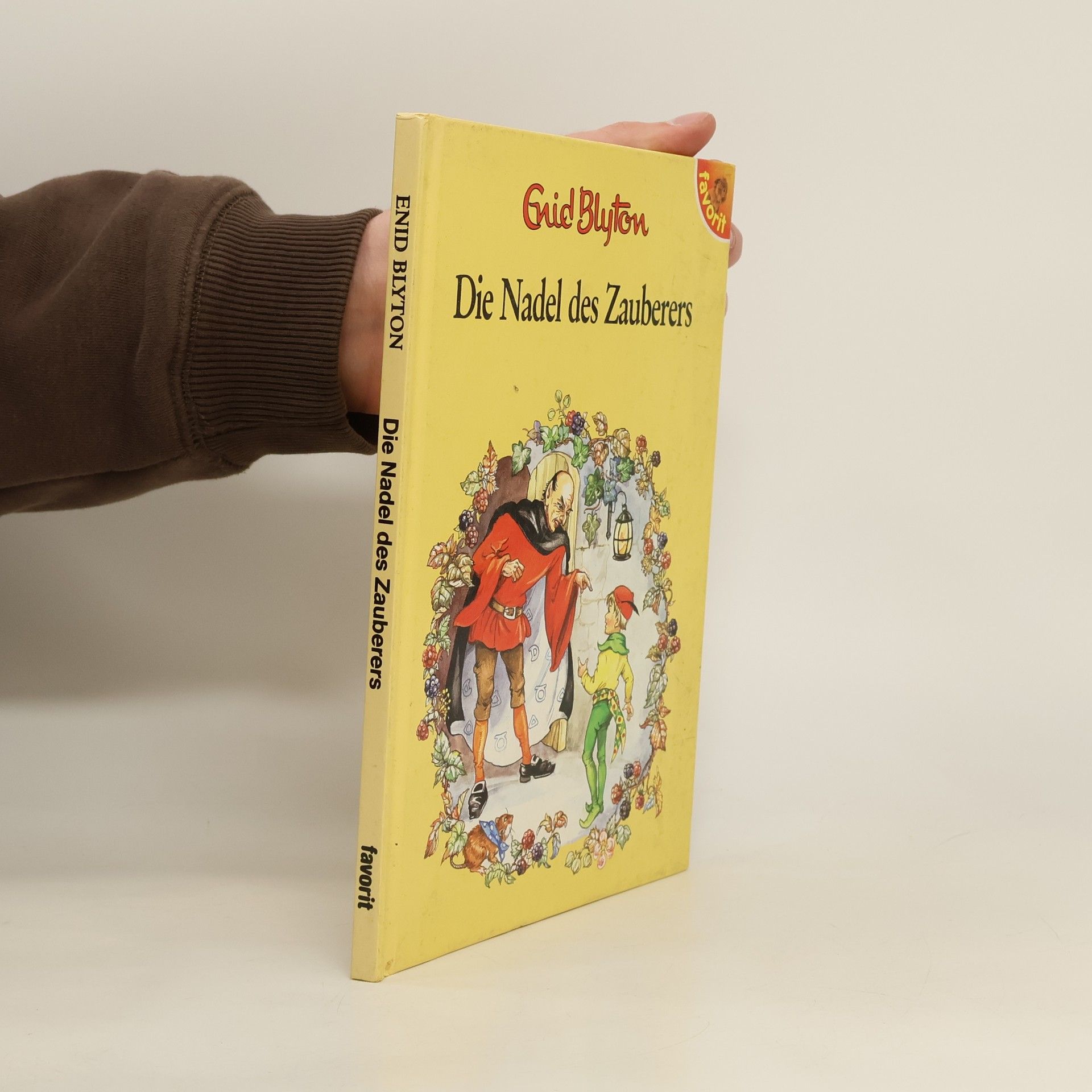 Enid Blyton Die Nadel des Zauberers