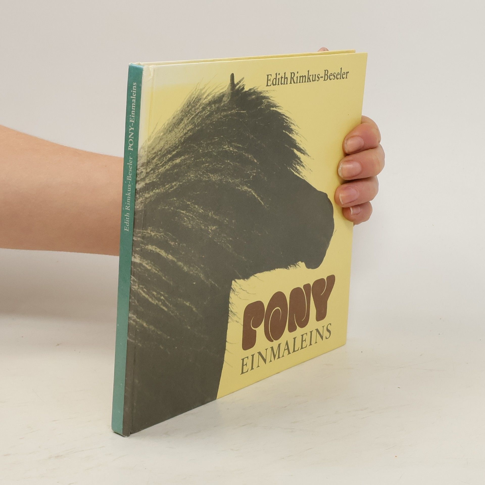 Edith Rimkus-Beseler Pony-Einmaleins