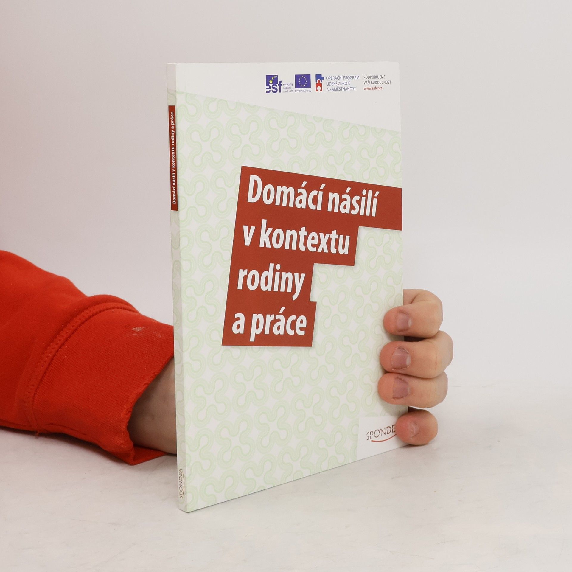 Martina Kotková Domácí násilí v kontextu rodiny a práce