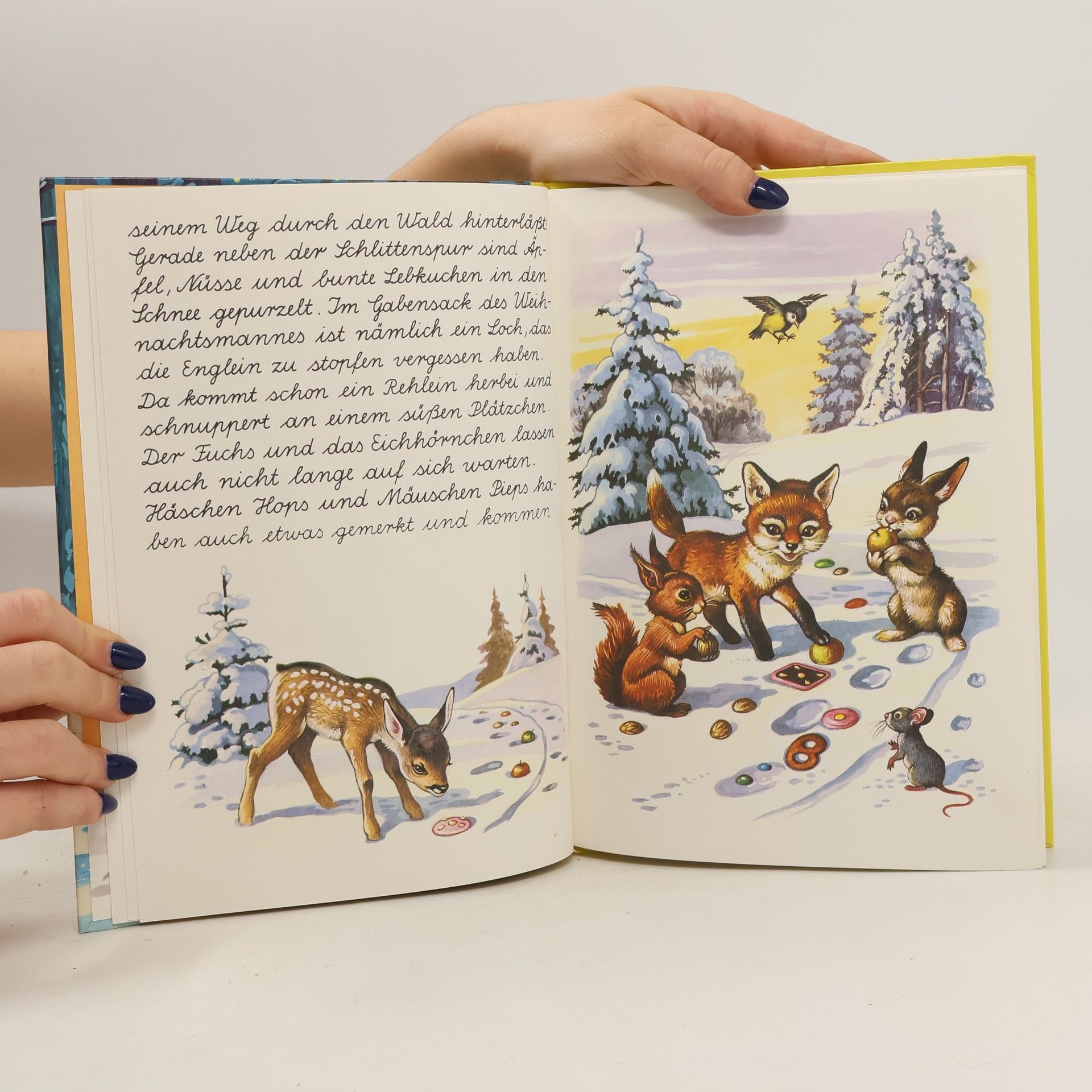 Liesel Lauterborn Weihnachten im Walde