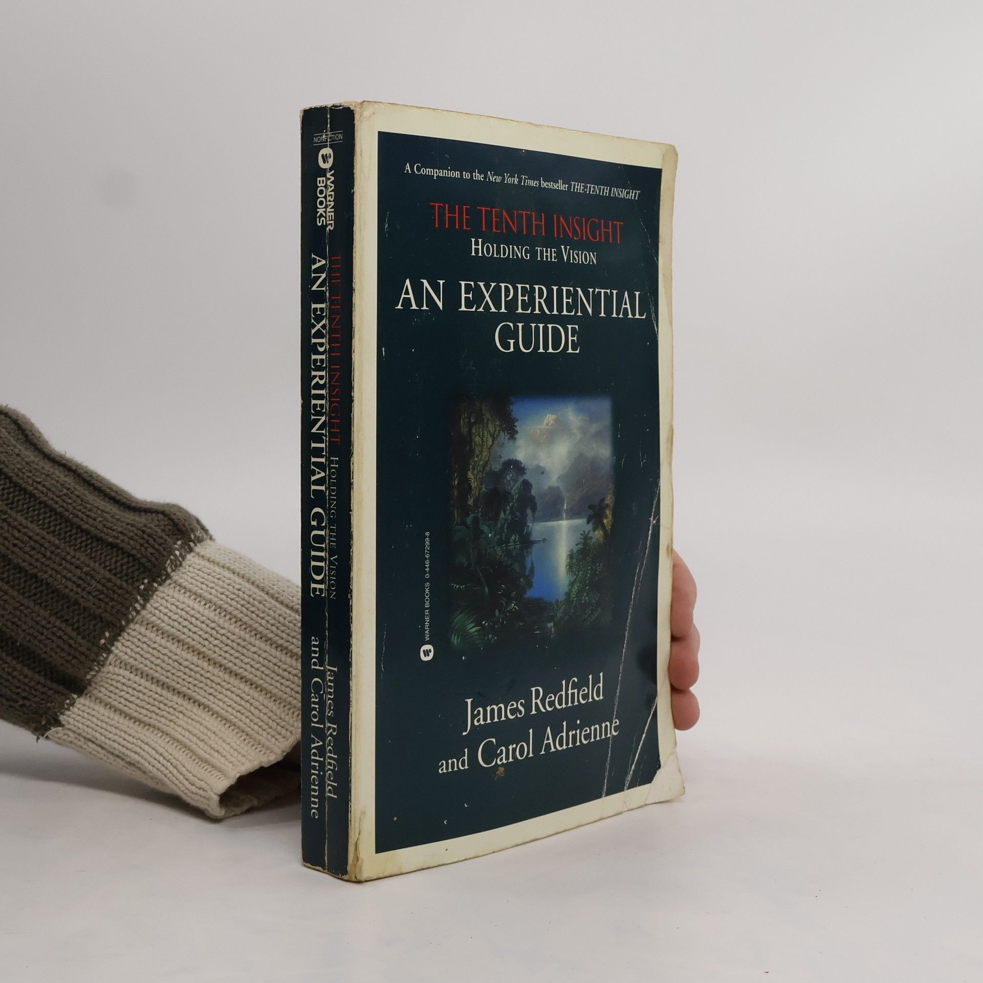 James Redfield Holding the Vision. An Experiential Guide