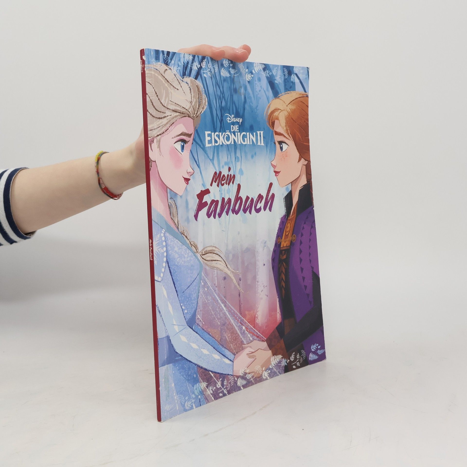 Claudia Dziallas Die Eiskönigin II - mein Fanbuch