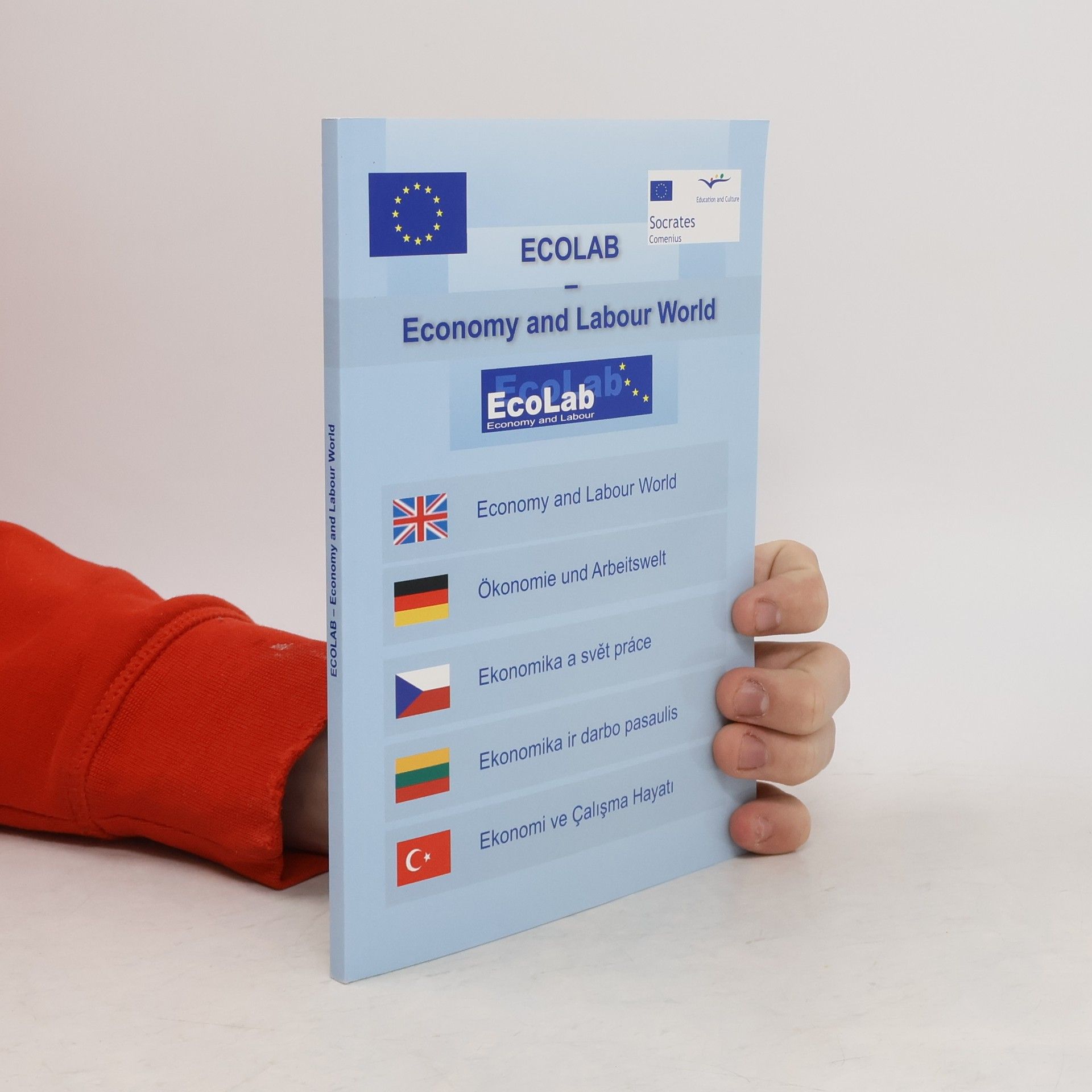 Autorenkollektiv ECOLAB - Economy and Labour World