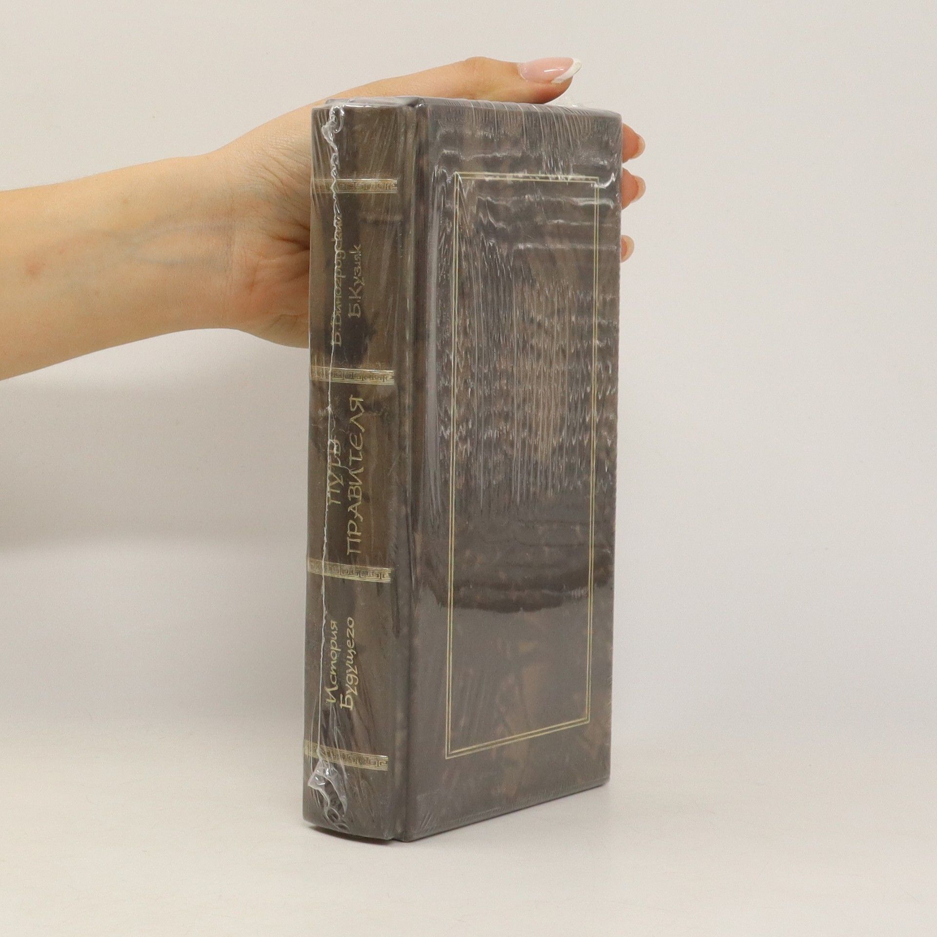 Bronislav Vinogrodsky Путь правителя. История будущего