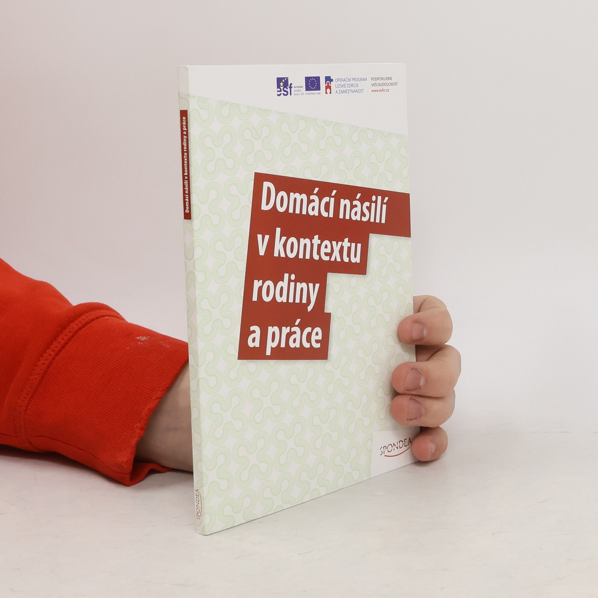 Martina Kotková Domácí násilí v kontextu rodiny a práce