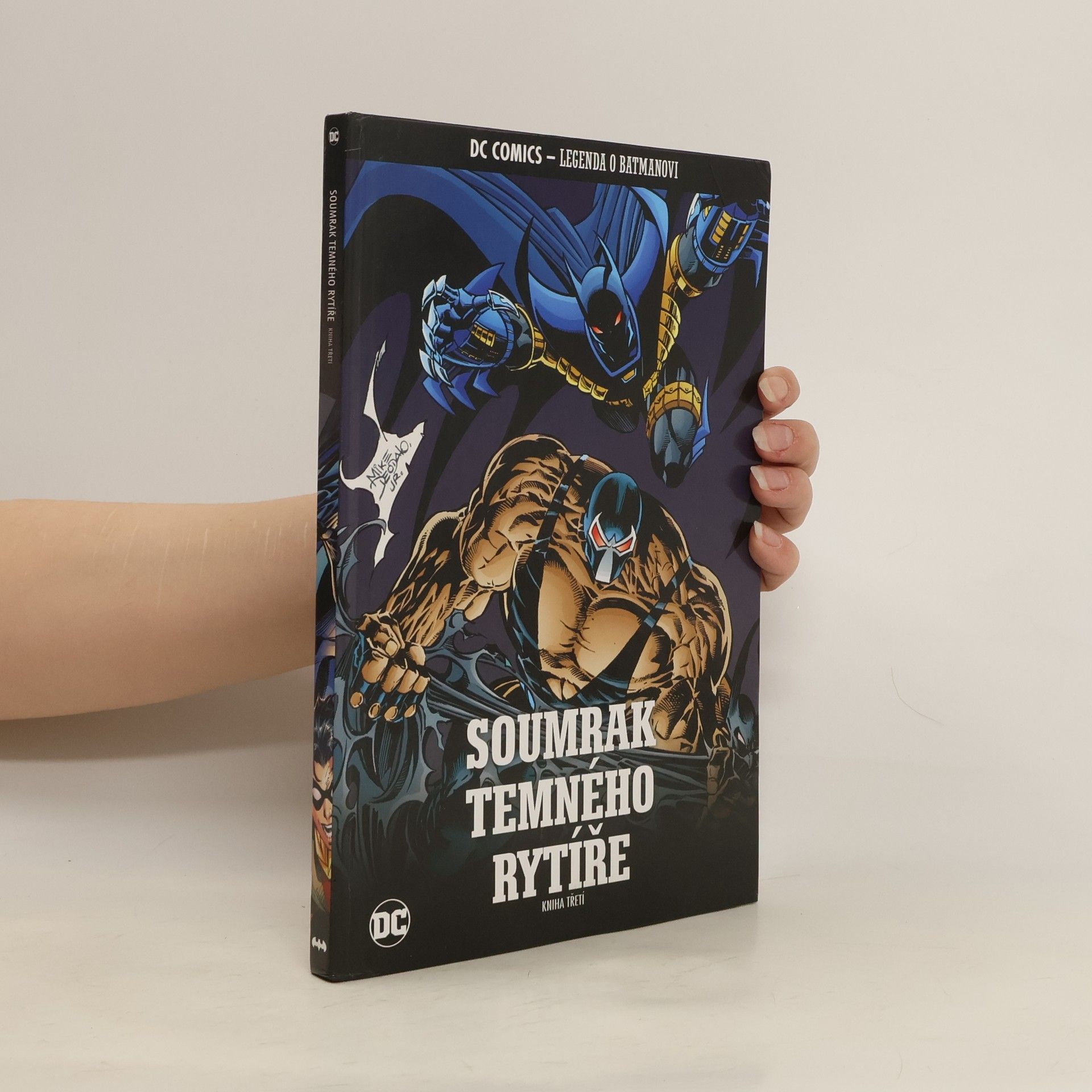 kolektiv Soumrak temného rytíře. Kniha třetí