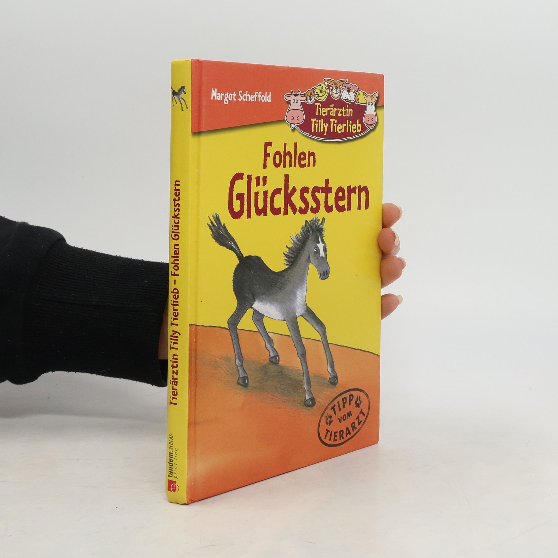 Margot Scheffold Fohlen Glücksstern
