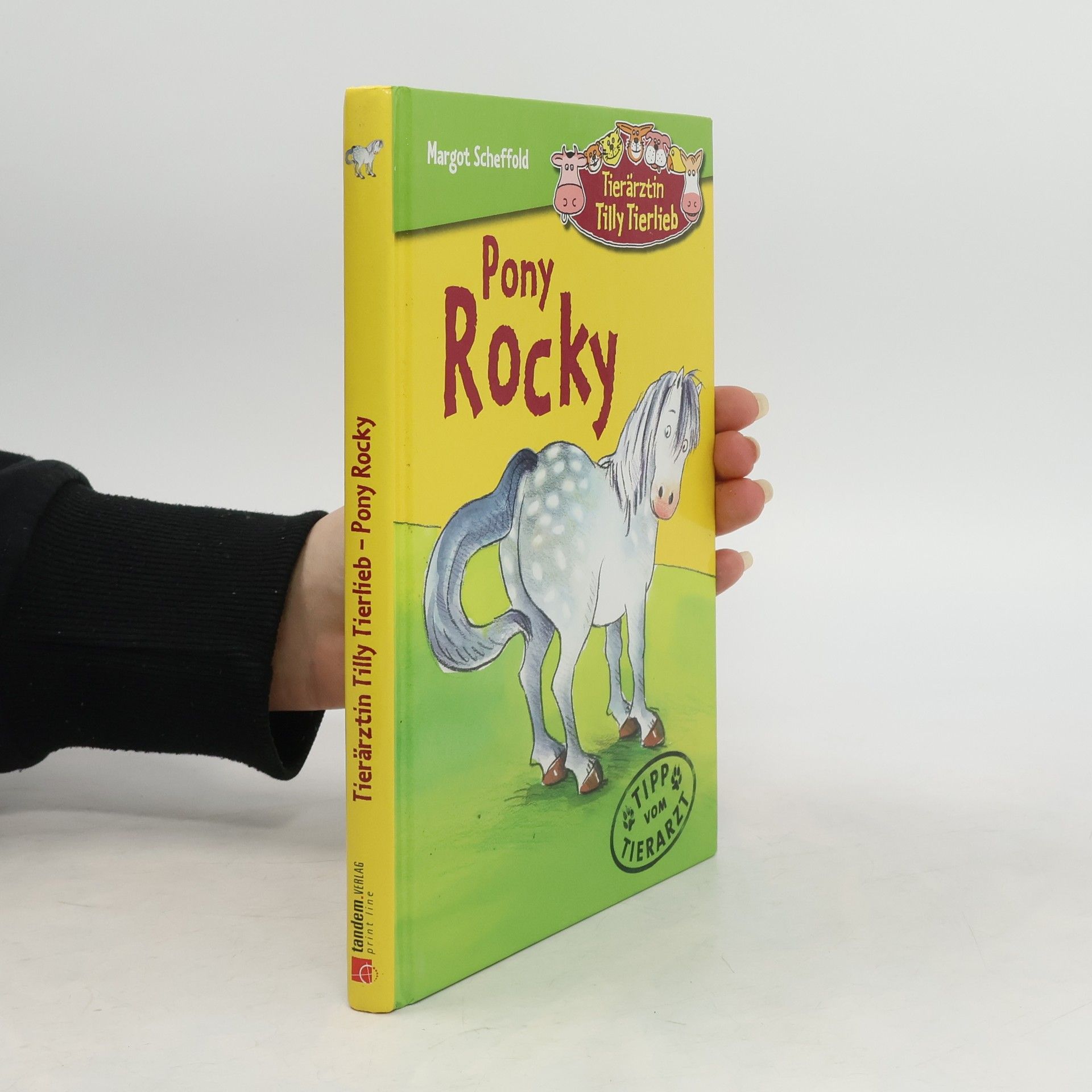 Margot Scheffold Pony Rocky