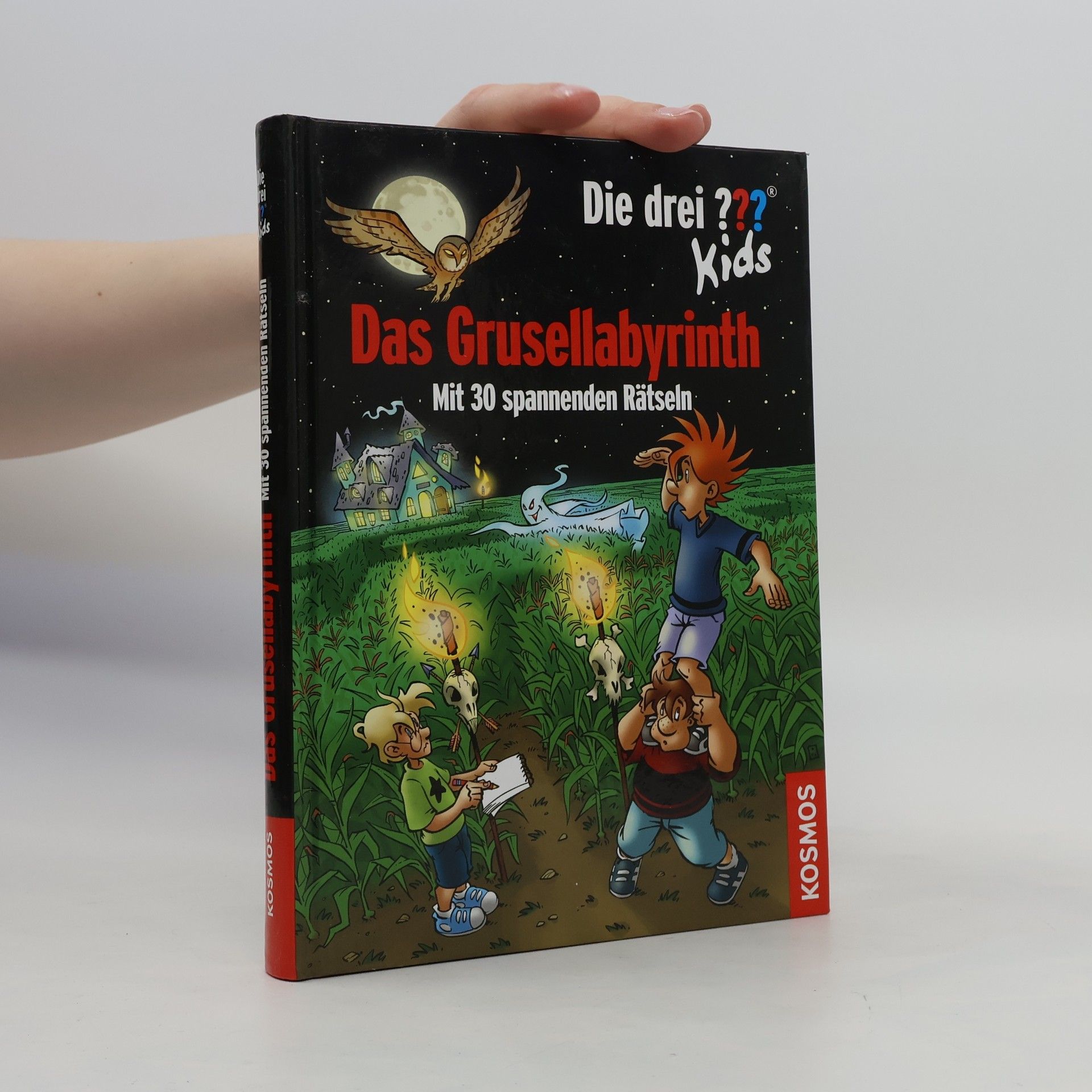 Ulf Blanck Das Grusellabyrinth