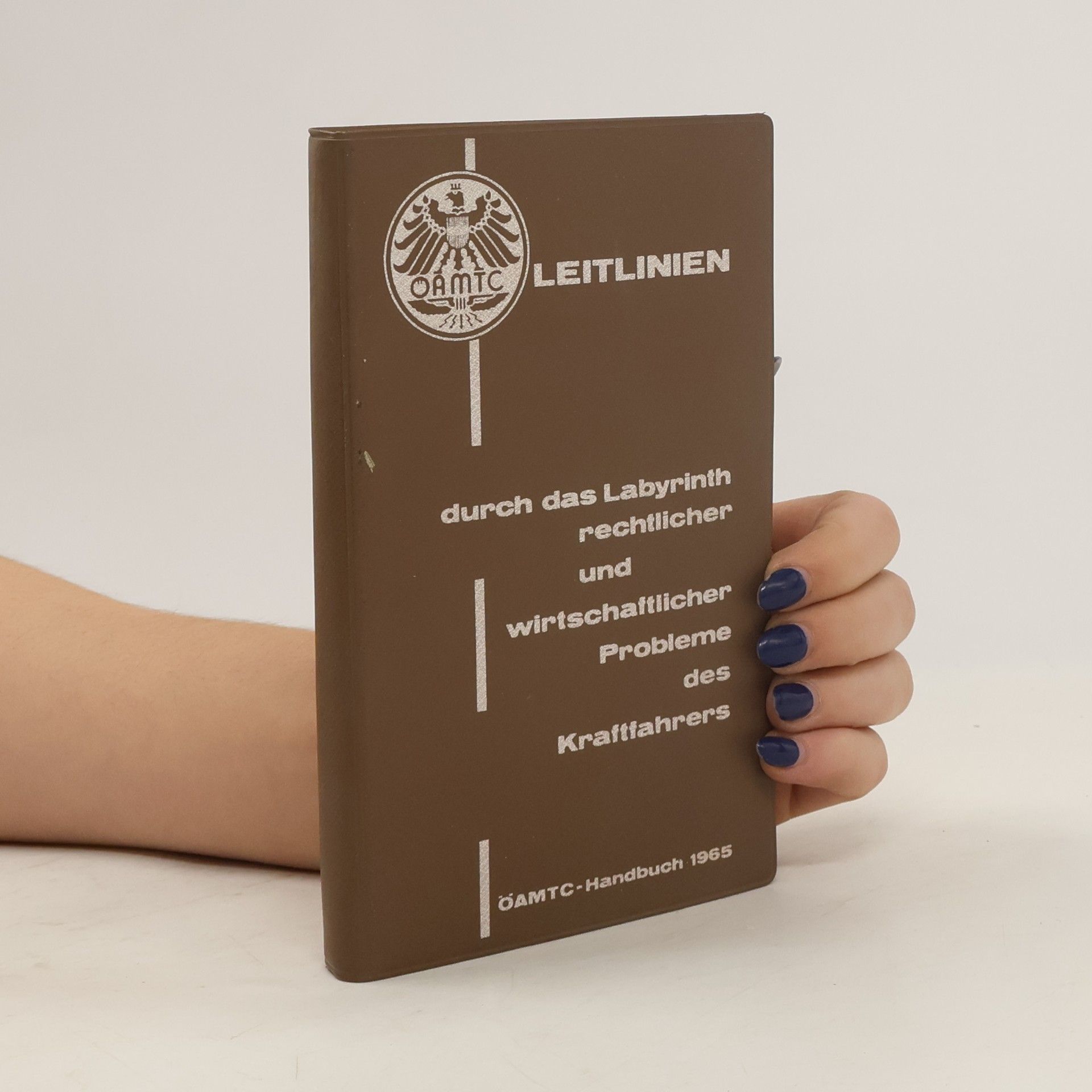 Kolektiv autorů Leitlinien durch das Labyrinth rechtlicher und wirtschaftlicher Probleme des Kraftfahrers