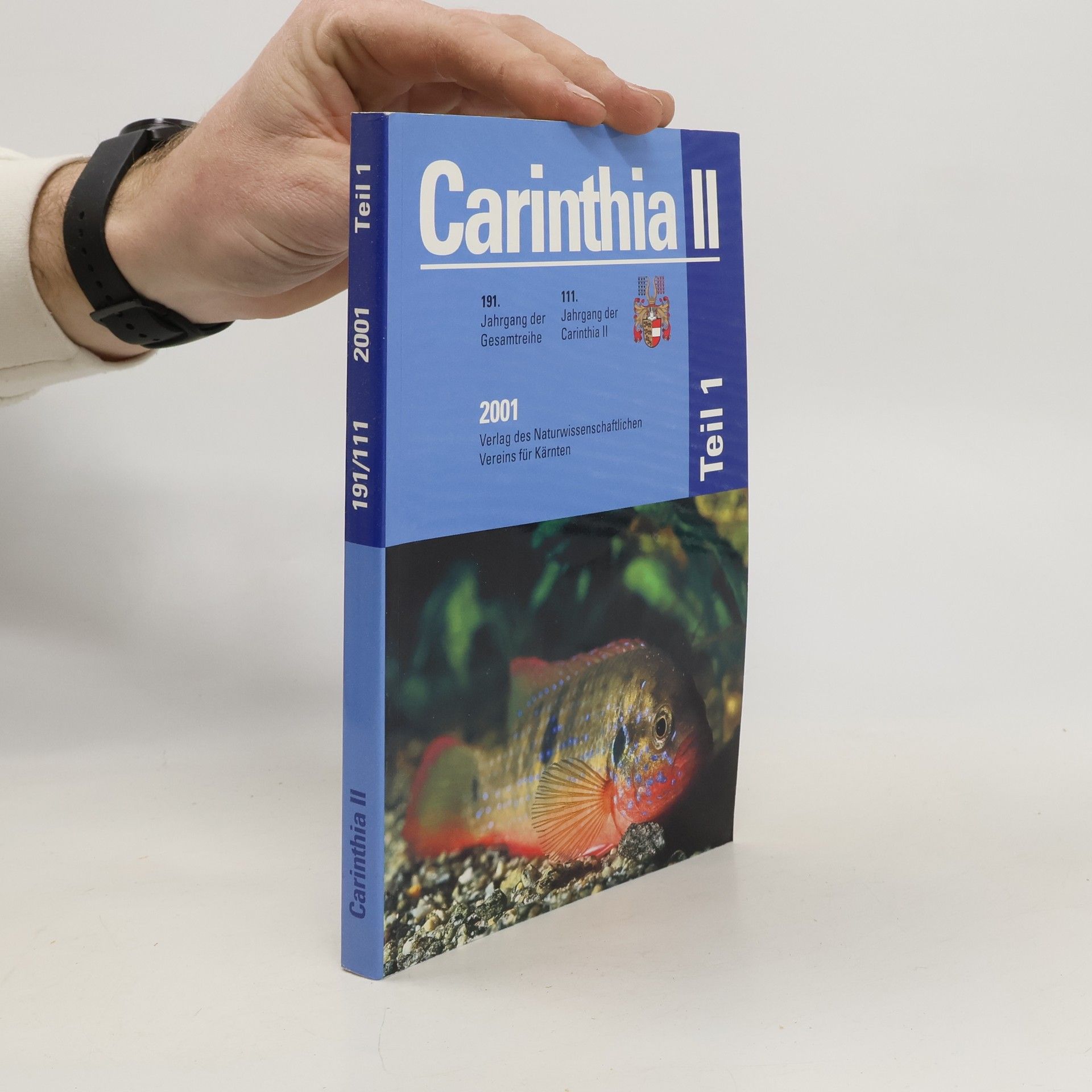 Autorenkollektiv Carinthia III