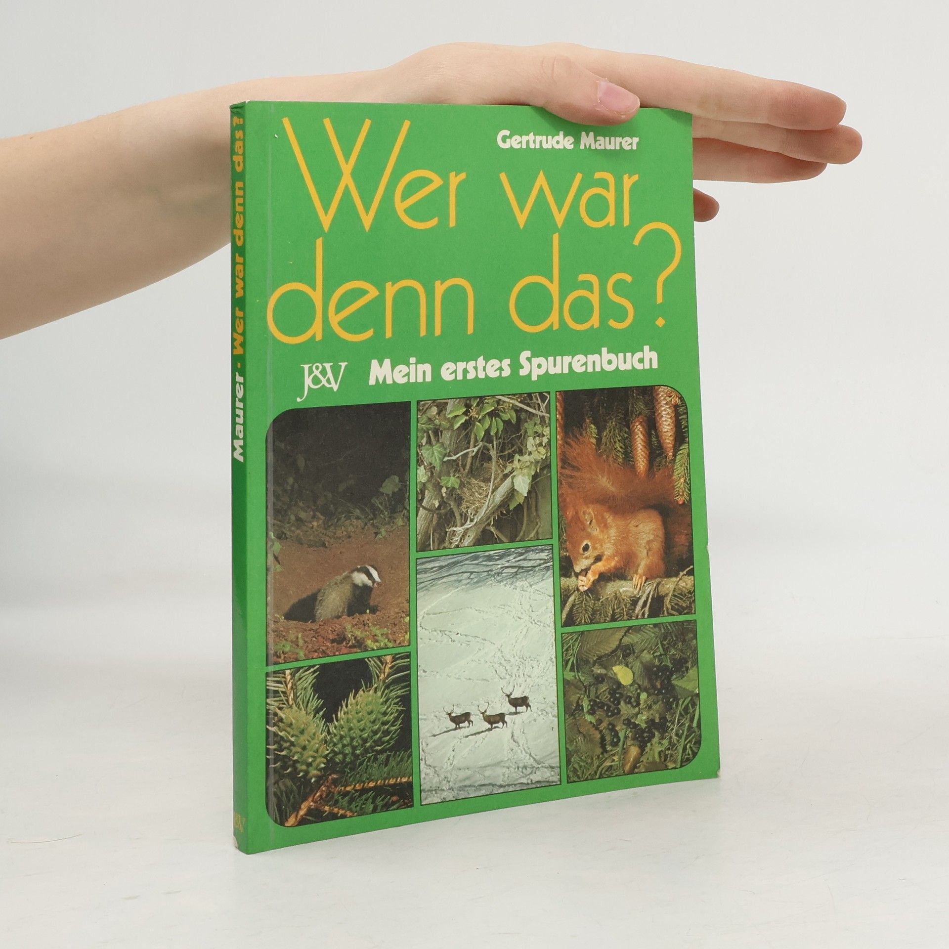 Gertrude Maurer Wer war denn das?