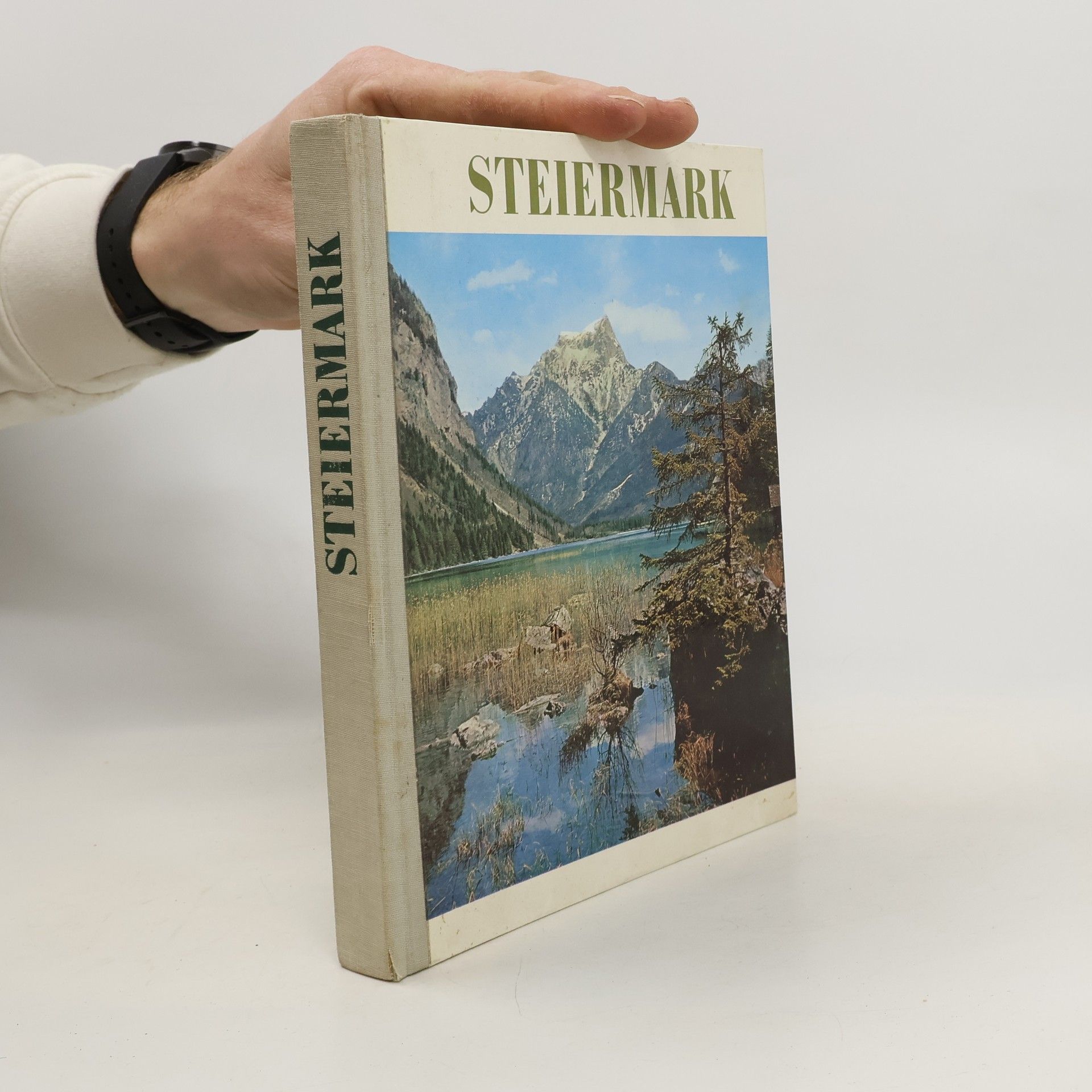 kolektiv Steiermark