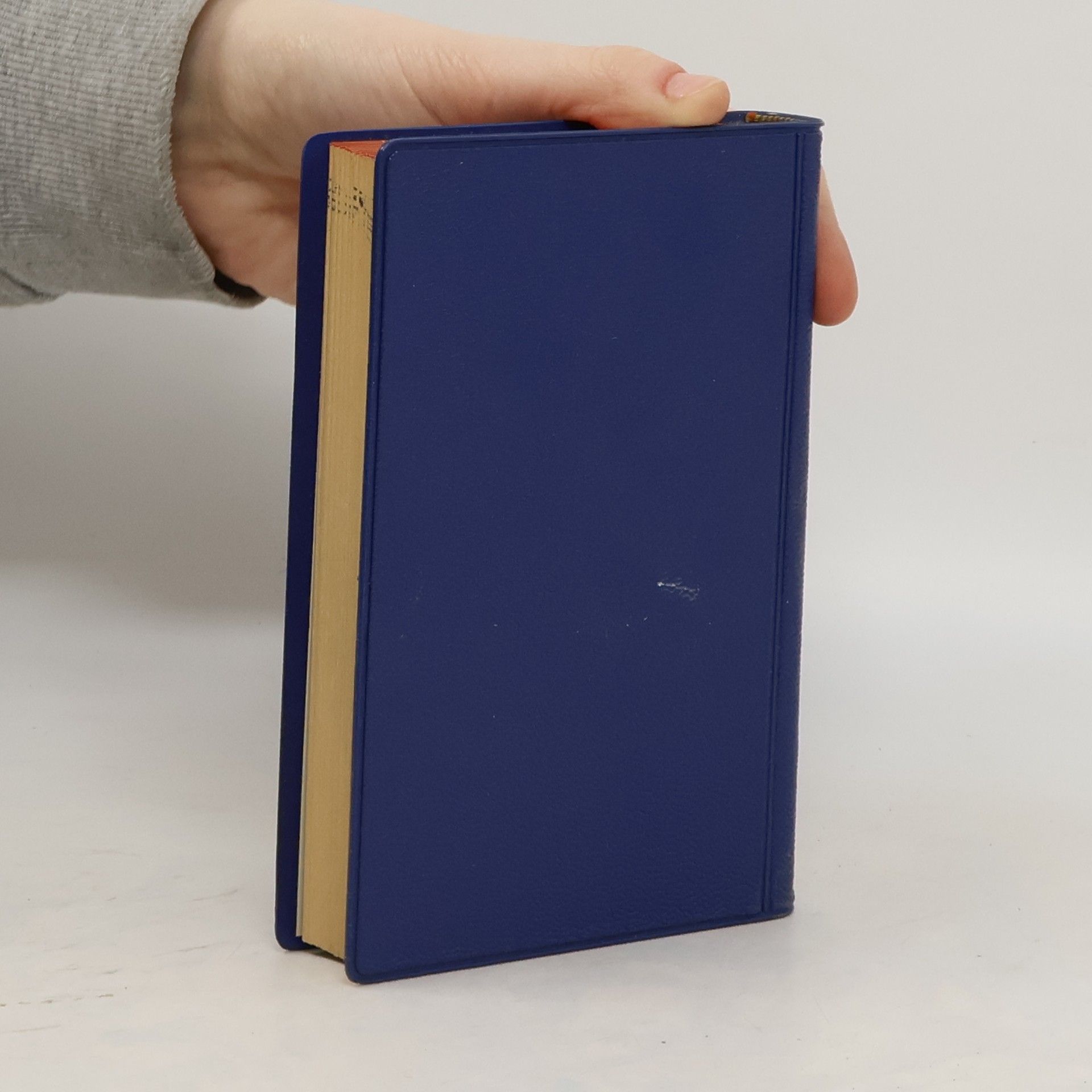 kolektiv Langenscheidt Taschenwörterbuch