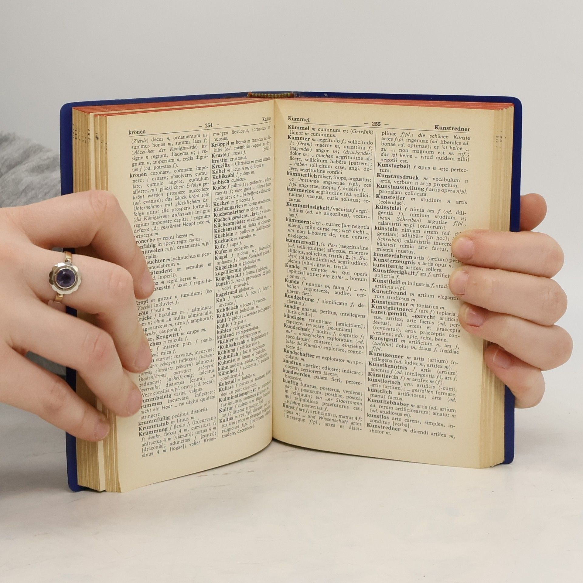 kolektiv Langenscheidt Taschenwörterbuch