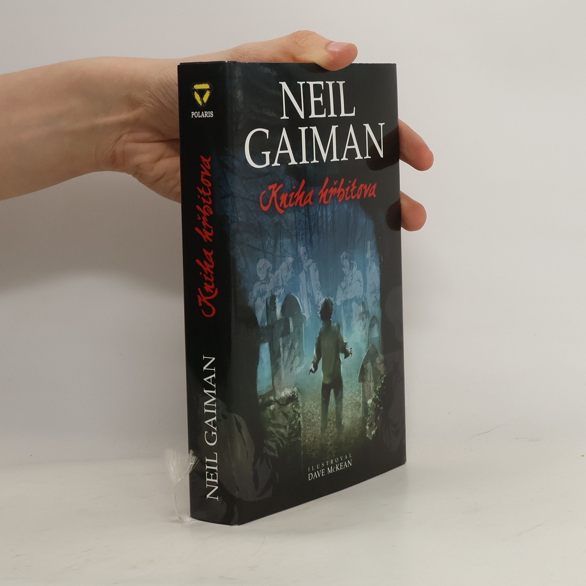 Neil Gaiman Kniha hřbitova