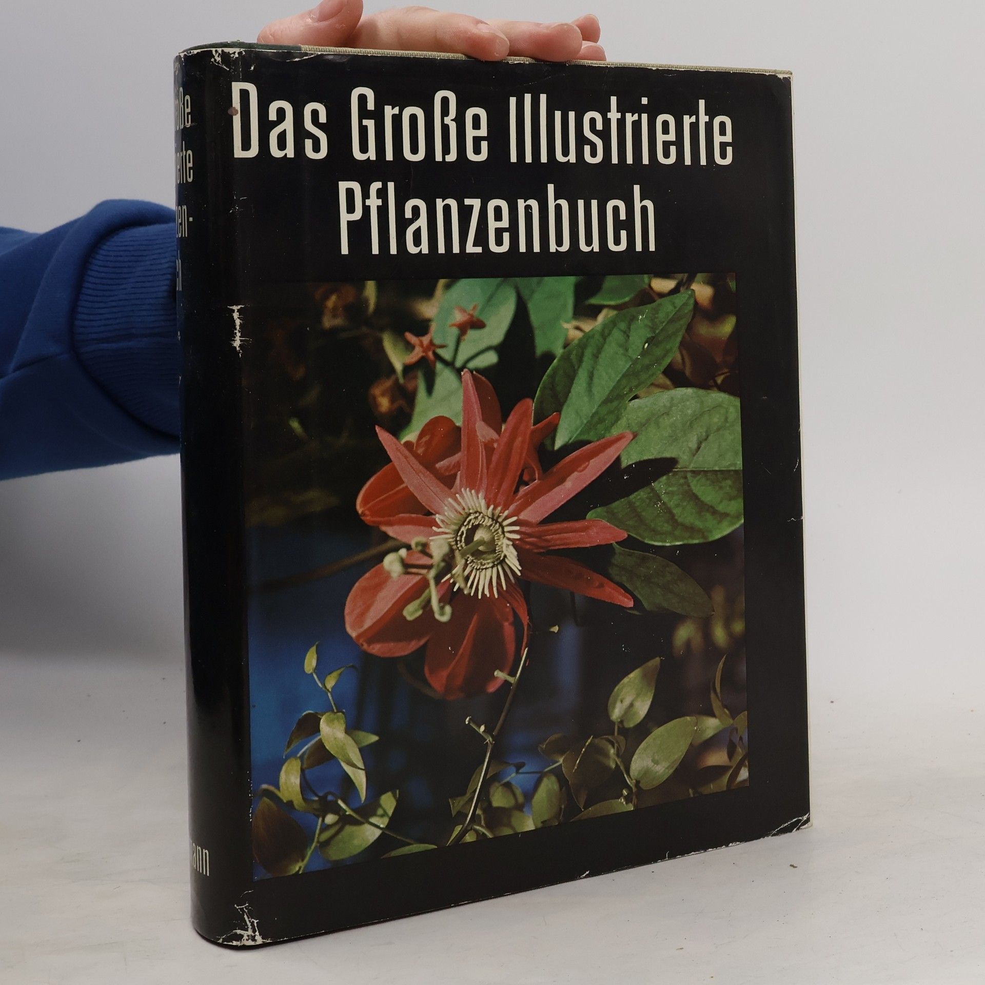 Autorenkollektiv Das Große Illustrierte Pflanzenbuch