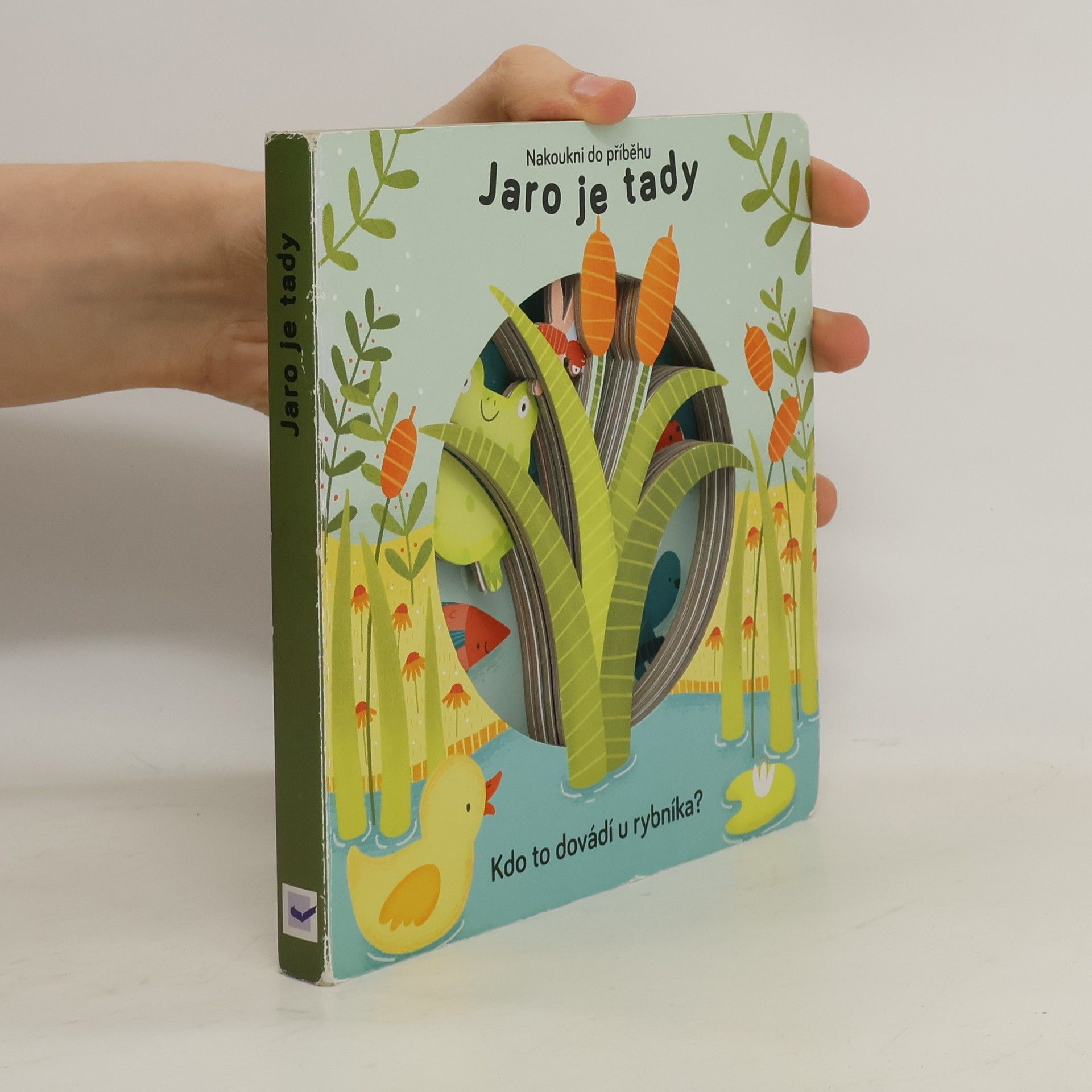 Anne Passchier Jaro je tady