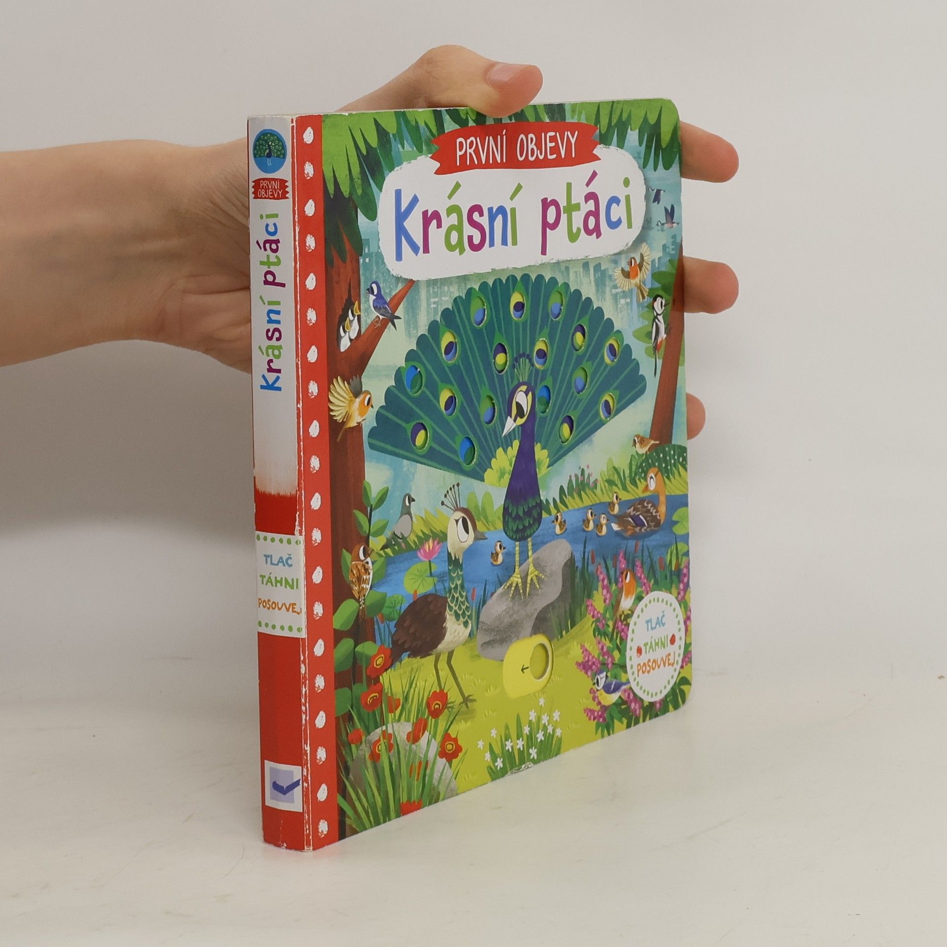 Chorkung První objevy: Krásní ptáci