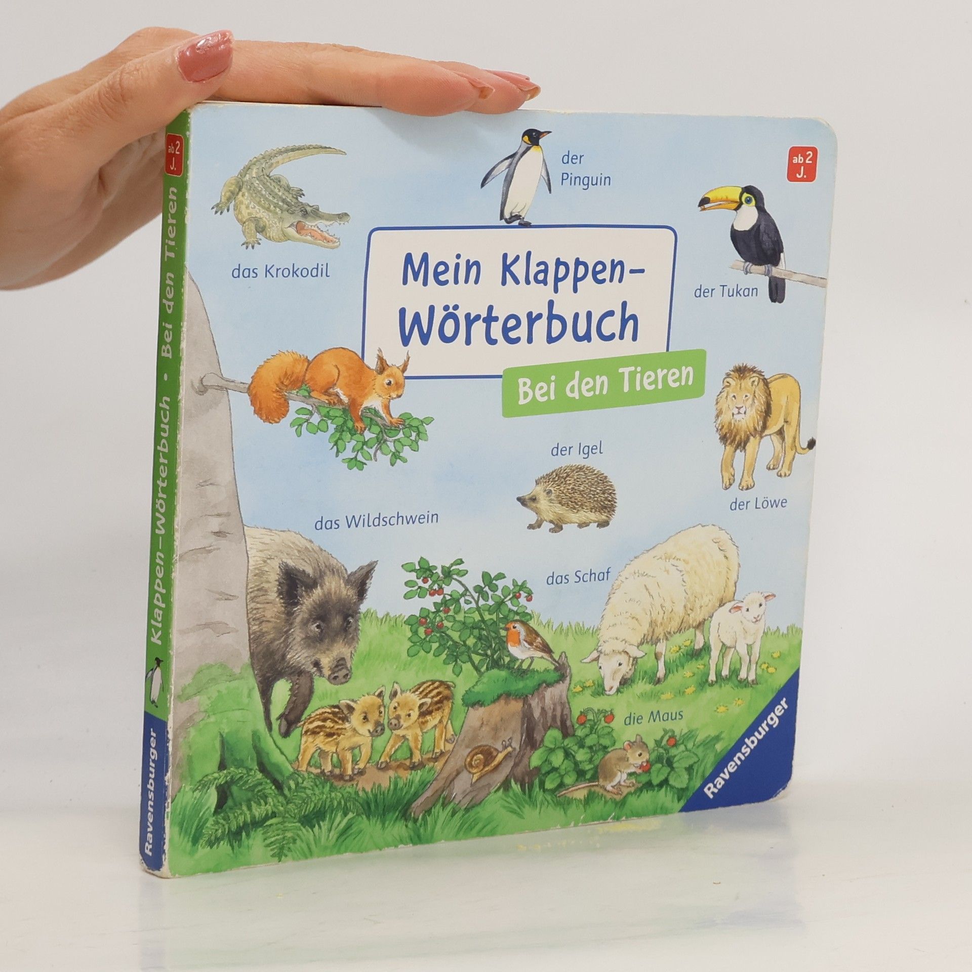 Ursula Weller Mein Klappen-Wörterbuch: Bei den Tieren