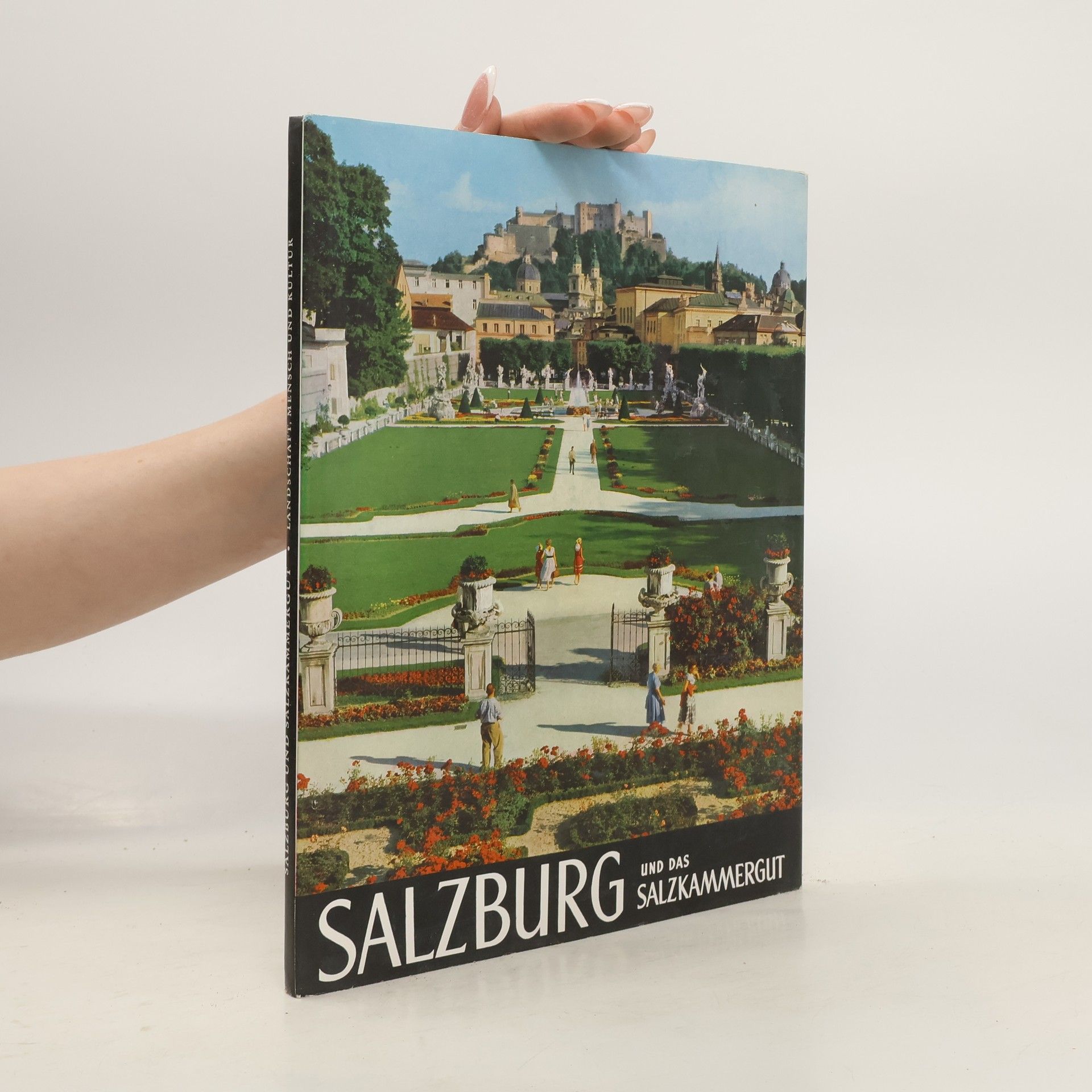 kolektiv Salzburg und das Salzkammergut
